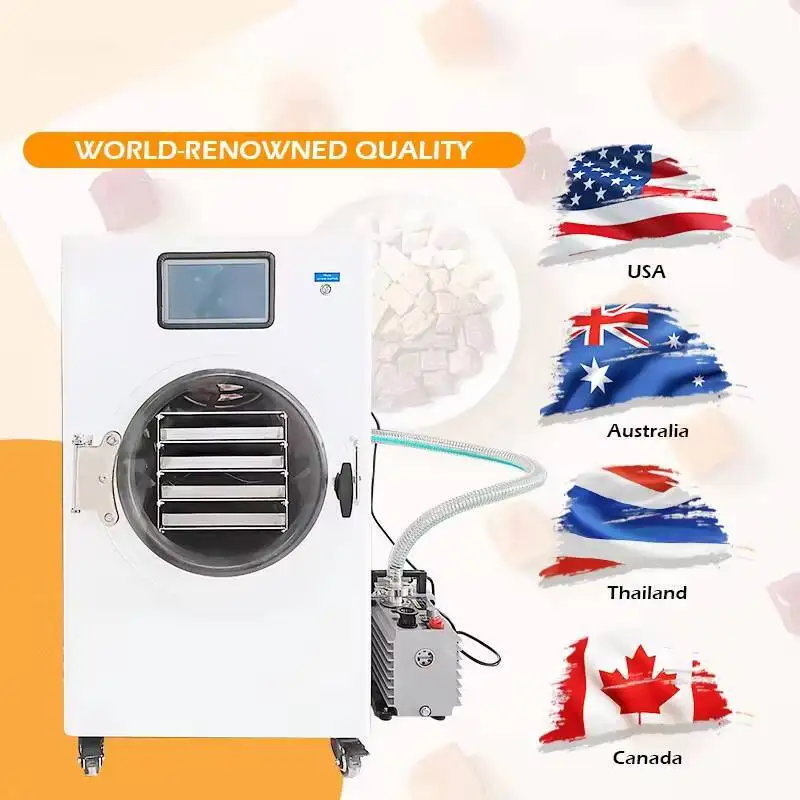 Freeze Drying Machine/food Freeze Drying Machine/freeze Drying Machine Freeze Dryer
Freeze Drying Machine/food Freeze Drying Machine/freeze Drying Machine Freeze Dryer