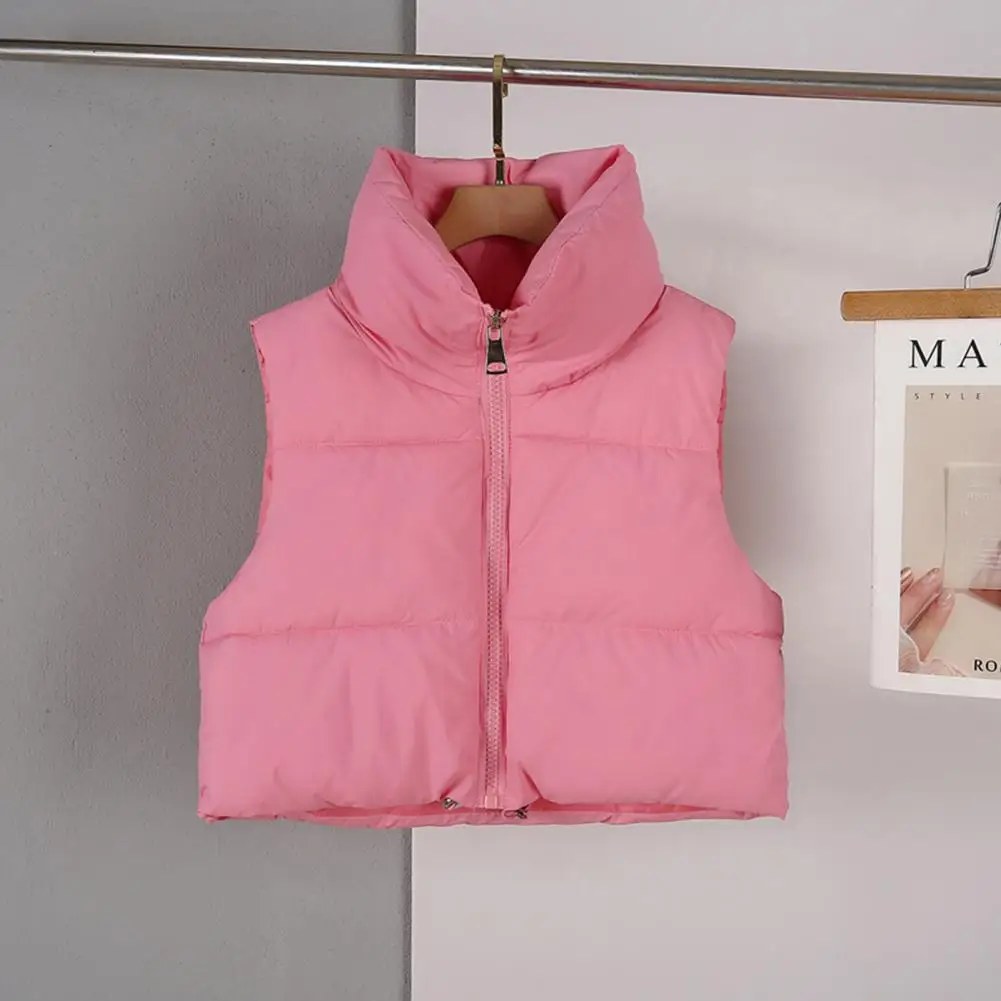 Winter Women Vest Coat Stand Collar Neck Protection Thickened Padded Vest Zipper Closure Sleeveless Lady Down Waistcoat
Winter Women Vest Coat Stand Collar Neck Protection Thickened Padded Vest Zipper Closure Sleeveless Lady Down Waistcoat