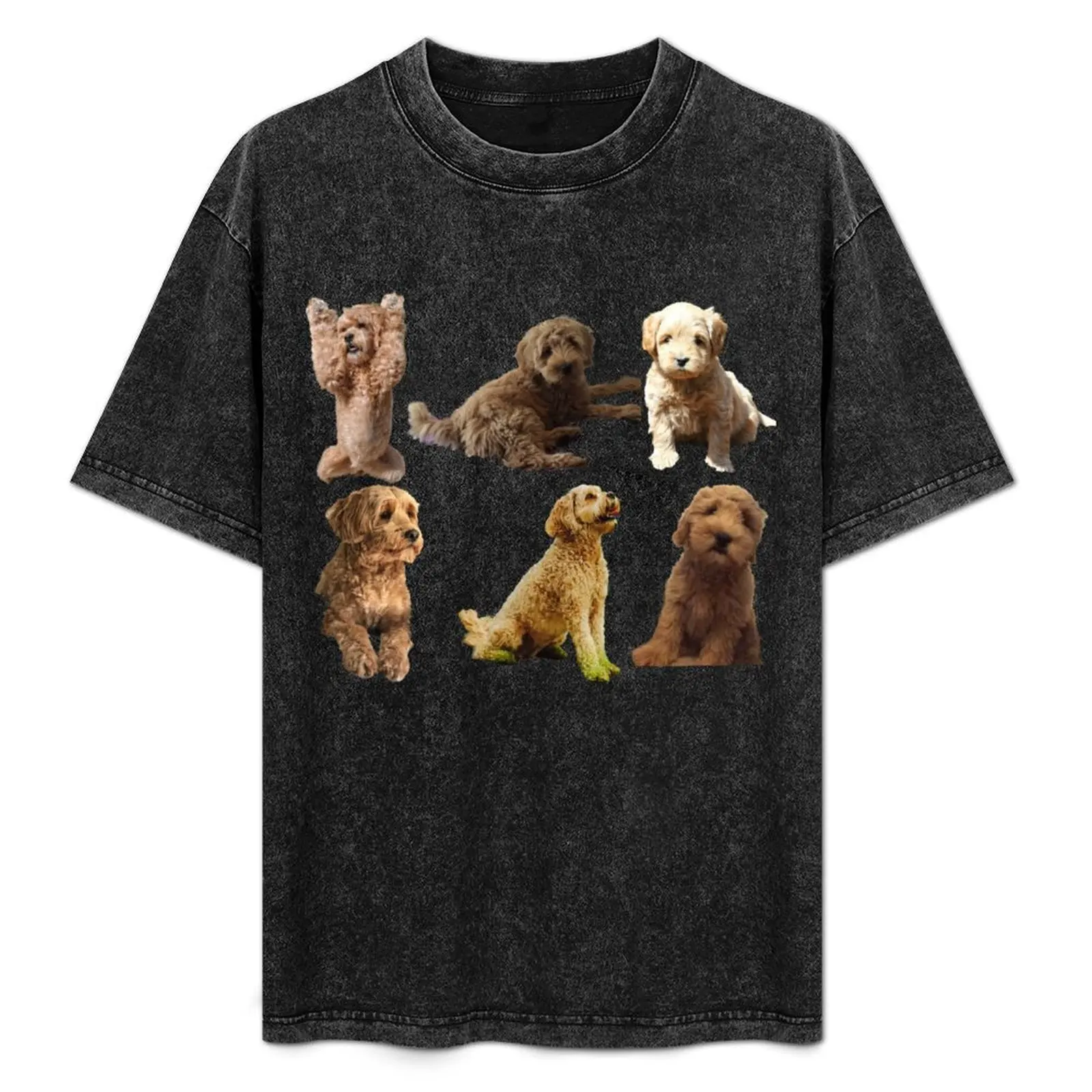 Adorable Labradoodle Compilation T-Shirt Soft Durable Cotton T-Shirt
Adorable Labradoodle Compilation T-Shirt Soft Durable Cotton T-Shirt