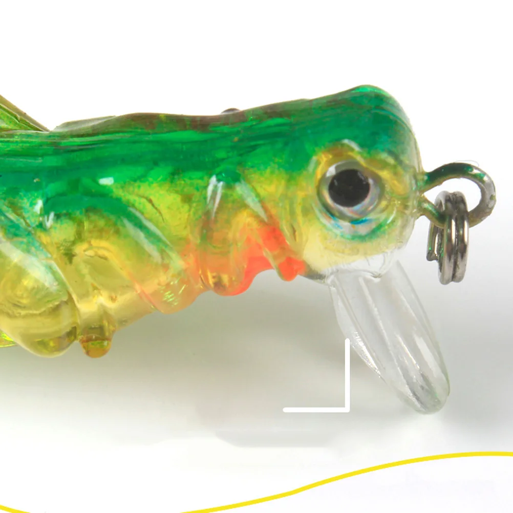 5 Pcs Simulated Bait for Bass Fishing Grasshopper Kit Vivid Life Like Insect Shape Reusable Environmental Material
5 Pcs Simulated Bait for Bass Fishing Grasshopper Kit Vivid Life Like Insect Shape Reusable Environmental Material