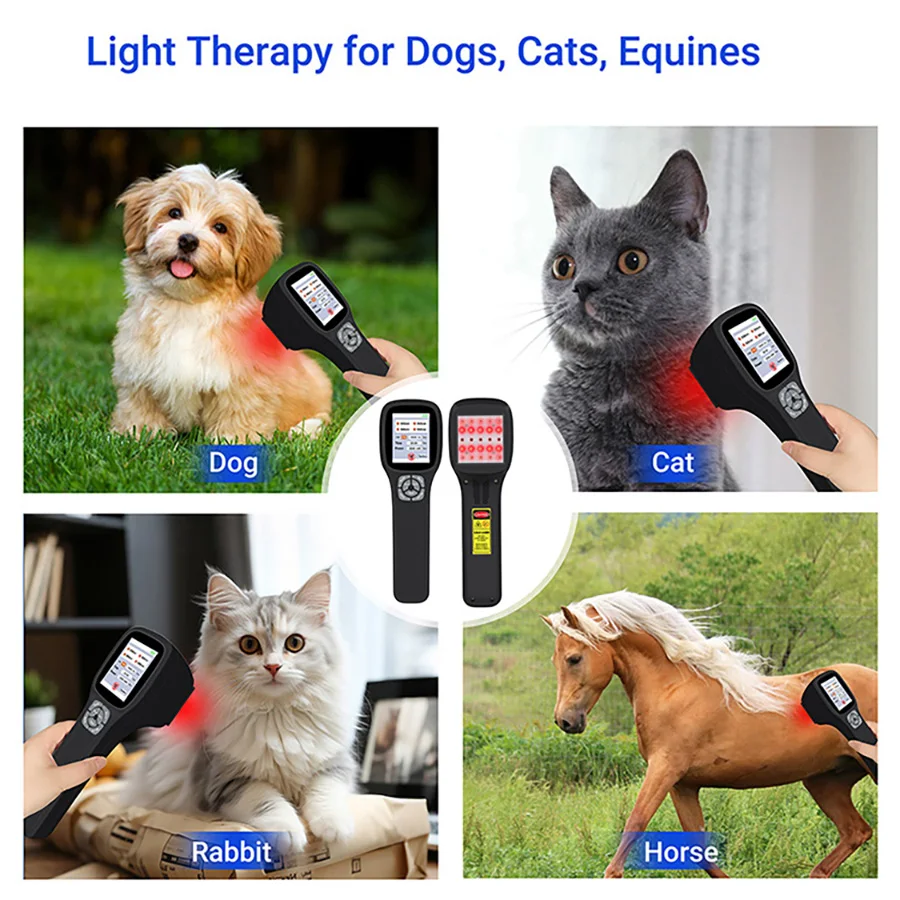 2026 Medical Device Laser Vet Laser Pain Veveterinary Cold Laser Therapy for Pet Joint Pain Relief With 2500mW 980nm 905nm 808nm
2026 Medical Device Laser Vet Laser Pain Veveterinary Cold Laser Therapy for Pet Joint Pain Relief With 2500mW 980nm 905nm 808nm