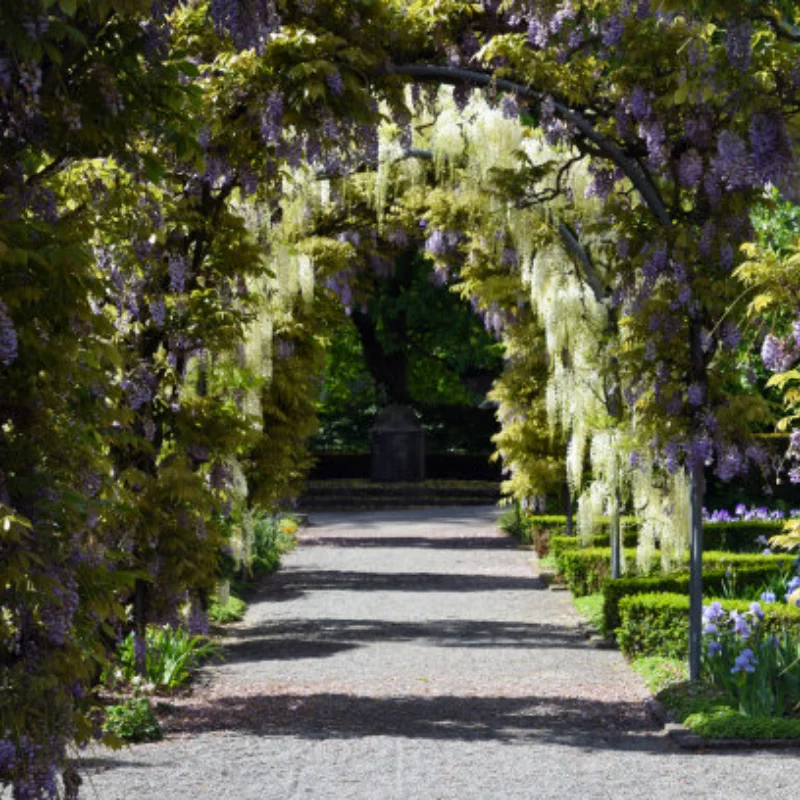 For Kyosho MP10 Metal 94MM Drive Shaft Couplers Universal Front Rear Wheel CVD Drive Shaft RC Car Upgrade Parts Remote Control
For Kyosho MP10 Metal 94MM Drive Shaft Couplers Universal Front Rear Wheel CVD Drive Shaft RC Car Upgrade Parts Remote Control