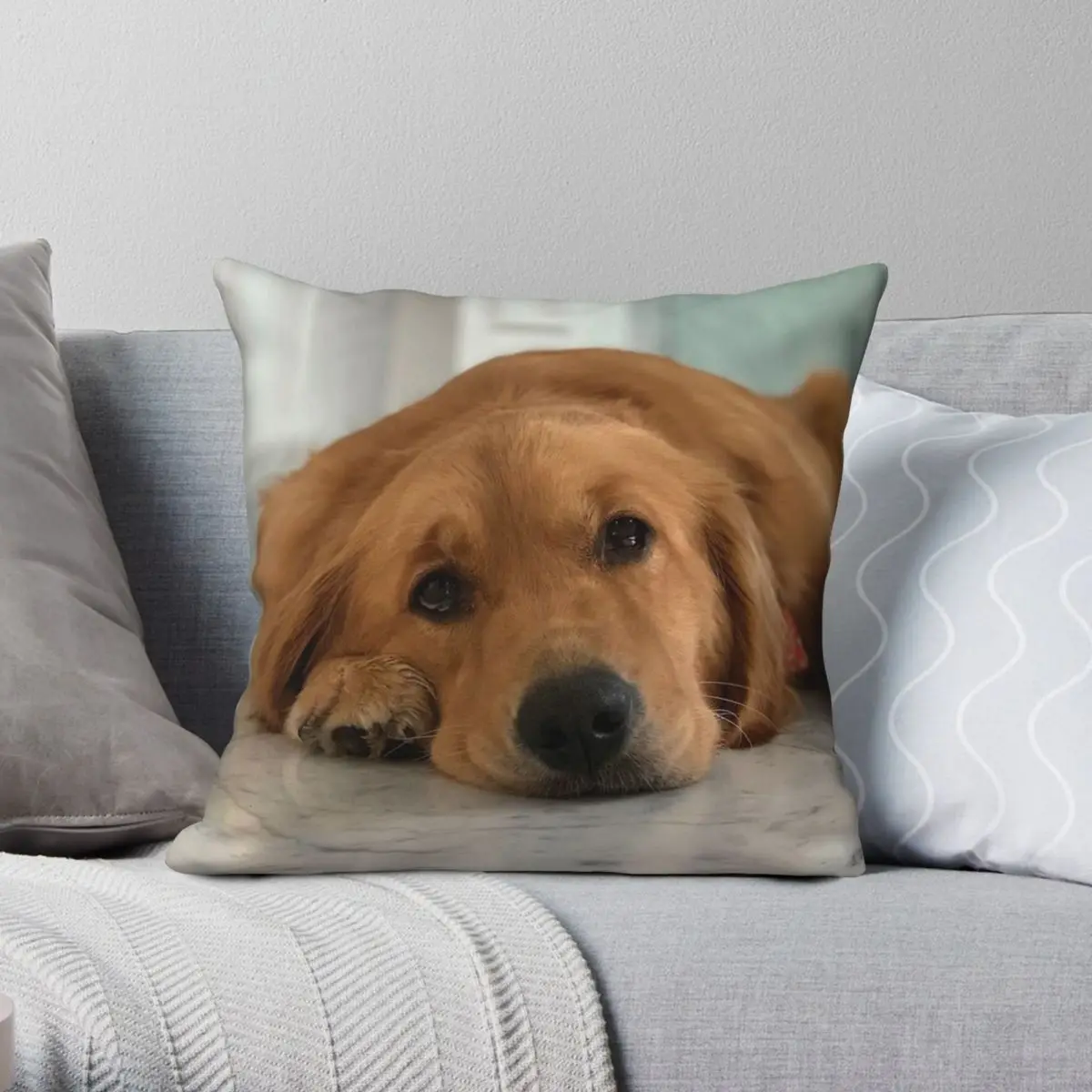 Golden Retriever Pillowcase Polyester Linen Velvet Pattern Zip Decor Pillow Case Bed Cushion Cover
Golden Retriever Pillowcase Polyester Linen Velvet Pattern Zip Decor Pillow Case Bed Cushion Cover