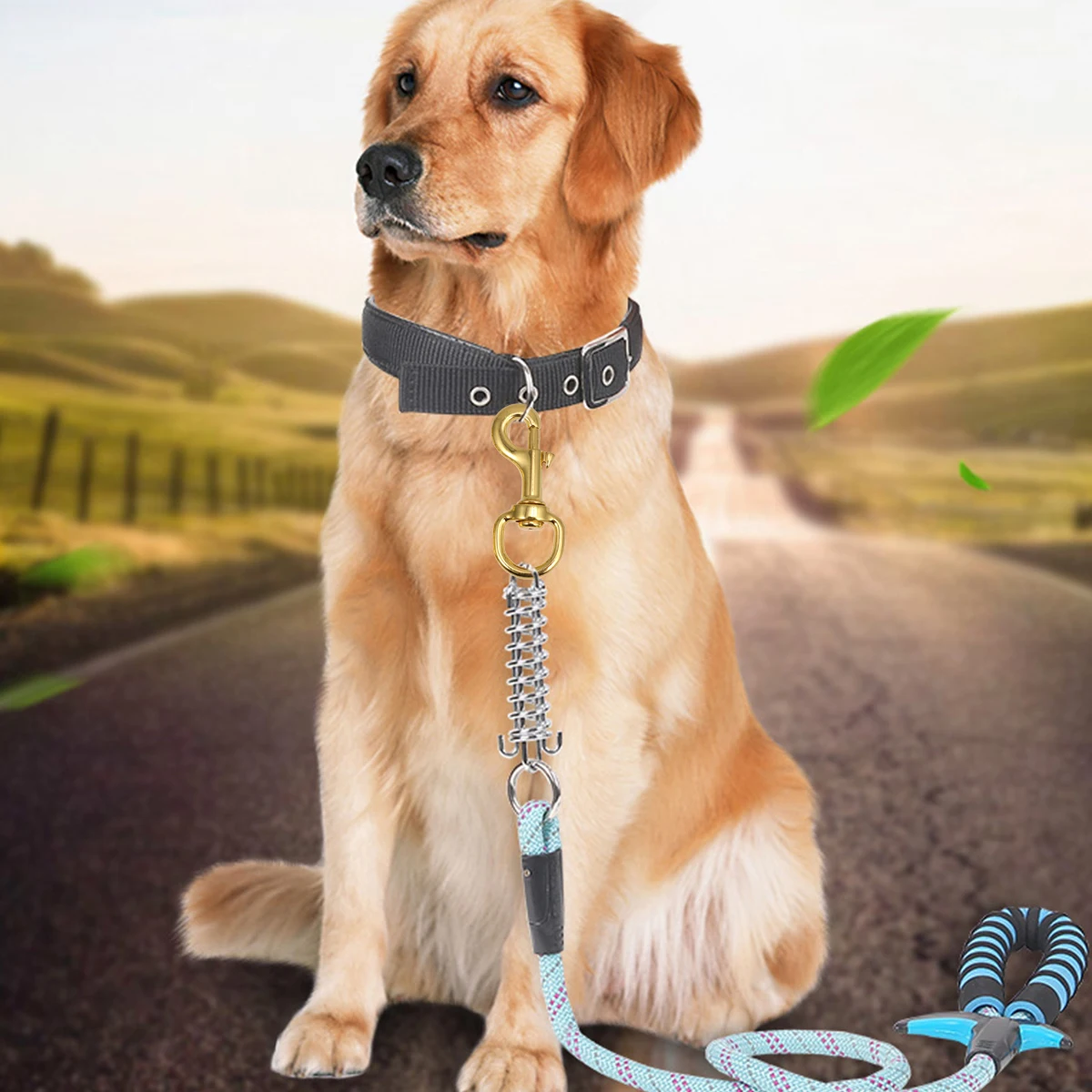 2 Pcs Pet Leash Buckle Hook with Swivel Joint Supplies Harness Accessories Traction Rope Collar Hooks Strap
2 Pcs Pet Leash Buckle Hook with Swivel Joint Supplies Harness Accessories Traction Rope Collar Hooks Strap