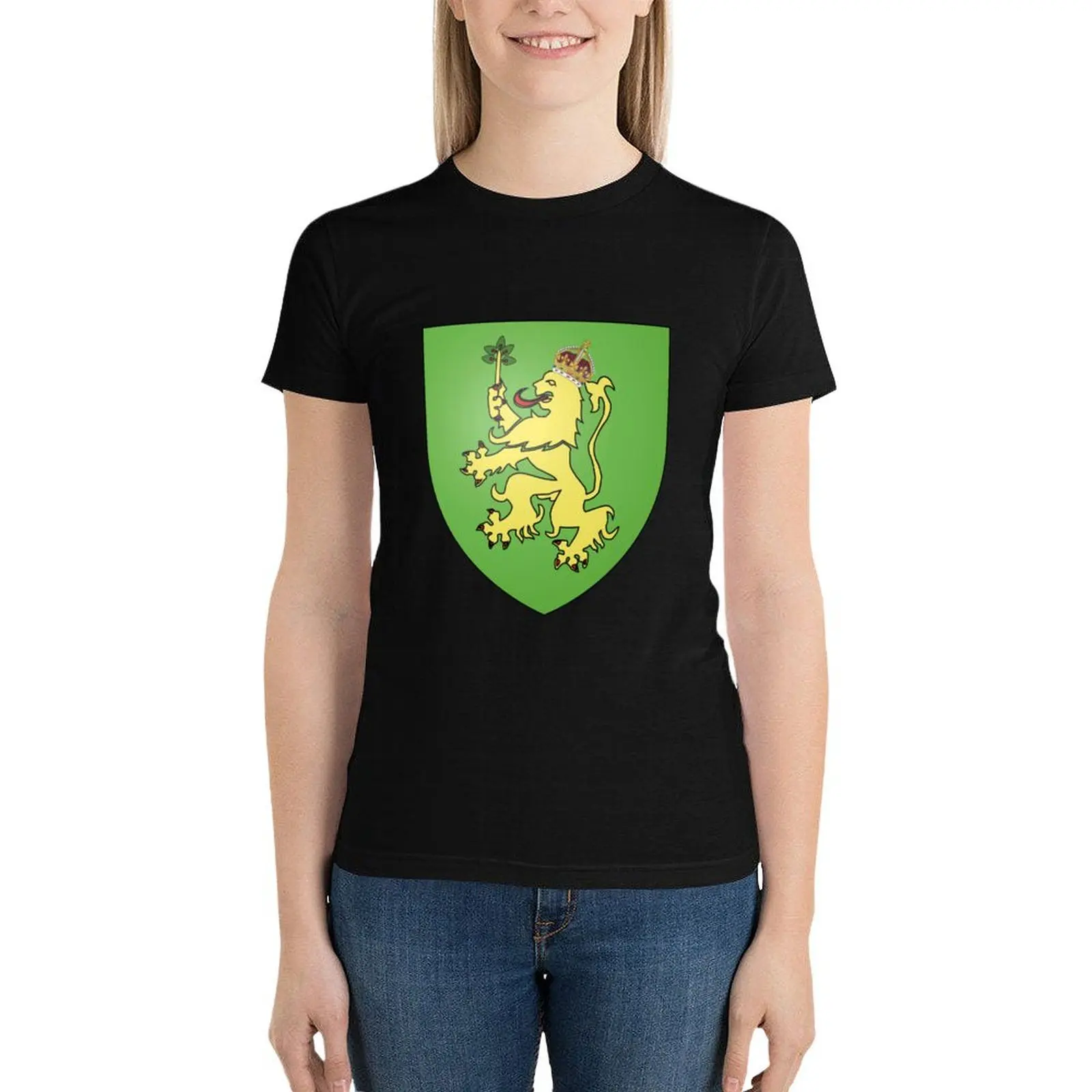 Alderney T-Shirt graphics anime clothes vintage clothes oversized t shirts for Women
Alderney T-Shirt graphics anime clothes vintage clothes oversized t shirts for Women