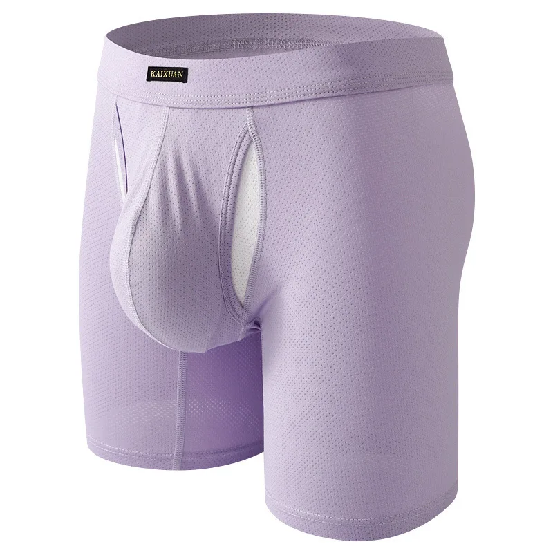 Men's Long Leg Sports Boxer Briefs, Mesh Breathable Anti-Chafing Underwear Youth Comfortable Sports Boxy Underpants Daily Trunks
Men's Long Leg Sports Boxer Briefs, Mesh Breathable Anti-Chafing Underwear Youth Comfortable Sports Boxy Underpants Daily Trunks