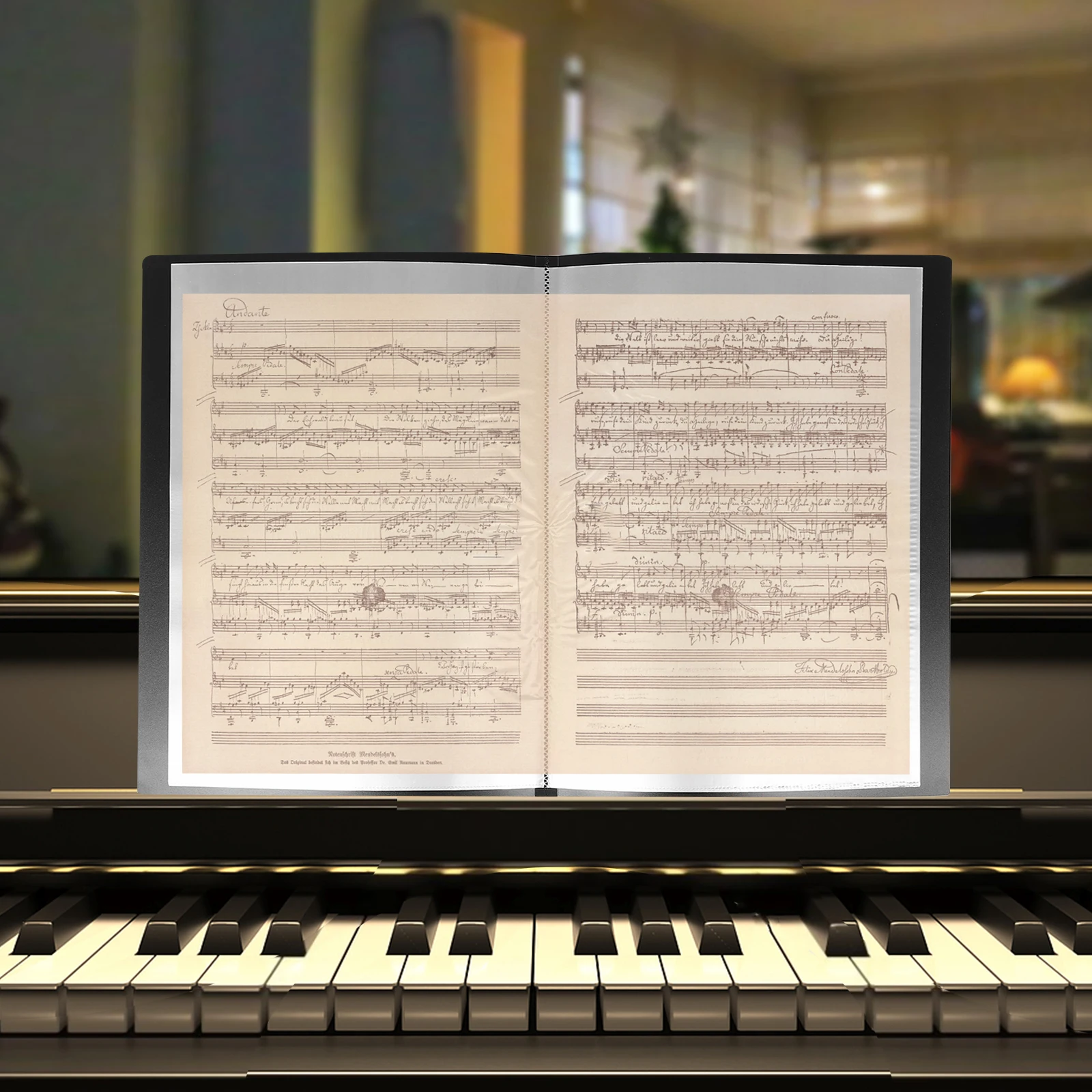 Multifunctional Music Score Choir Sheet Holder Piano Book Organizer Band Flip File Storage Pocket Marching Band Portable Choral
Multifunctional Music Score Choir Sheet Holder Piano Book Organizer Band Flip File Storage Pocket Marching Band Portable Choral