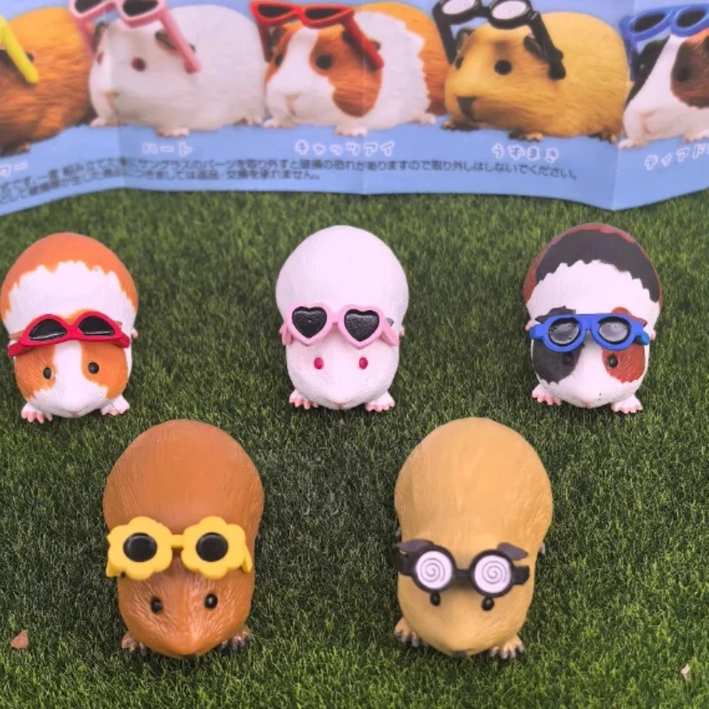 Guinea Pig With Sunglasses Blind Box Cute Mini Anime Action Figure Model Toys Kawai Desktop Decoration Surprise Birthday Gifts
Guinea Pig With Sunglasses Blind Box Cute Mini Anime Action Figure Model Toys Kawai Desktop Decoration Surprise Birthday Gifts