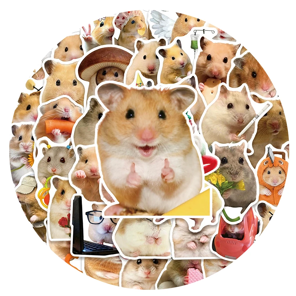 10/30/50pcs Cute Meme Hamster Animal Stickers Funny Cartoon Sticker Decoration Skateboard Suitcase Phone Car Graffiti Decals Toy
10/30/50pcs Cute Meme Hamster Animal Stickers Funny Cartoon Sticker Decoration Skateboard Suitcase Phone Car Graffiti Decals Toy