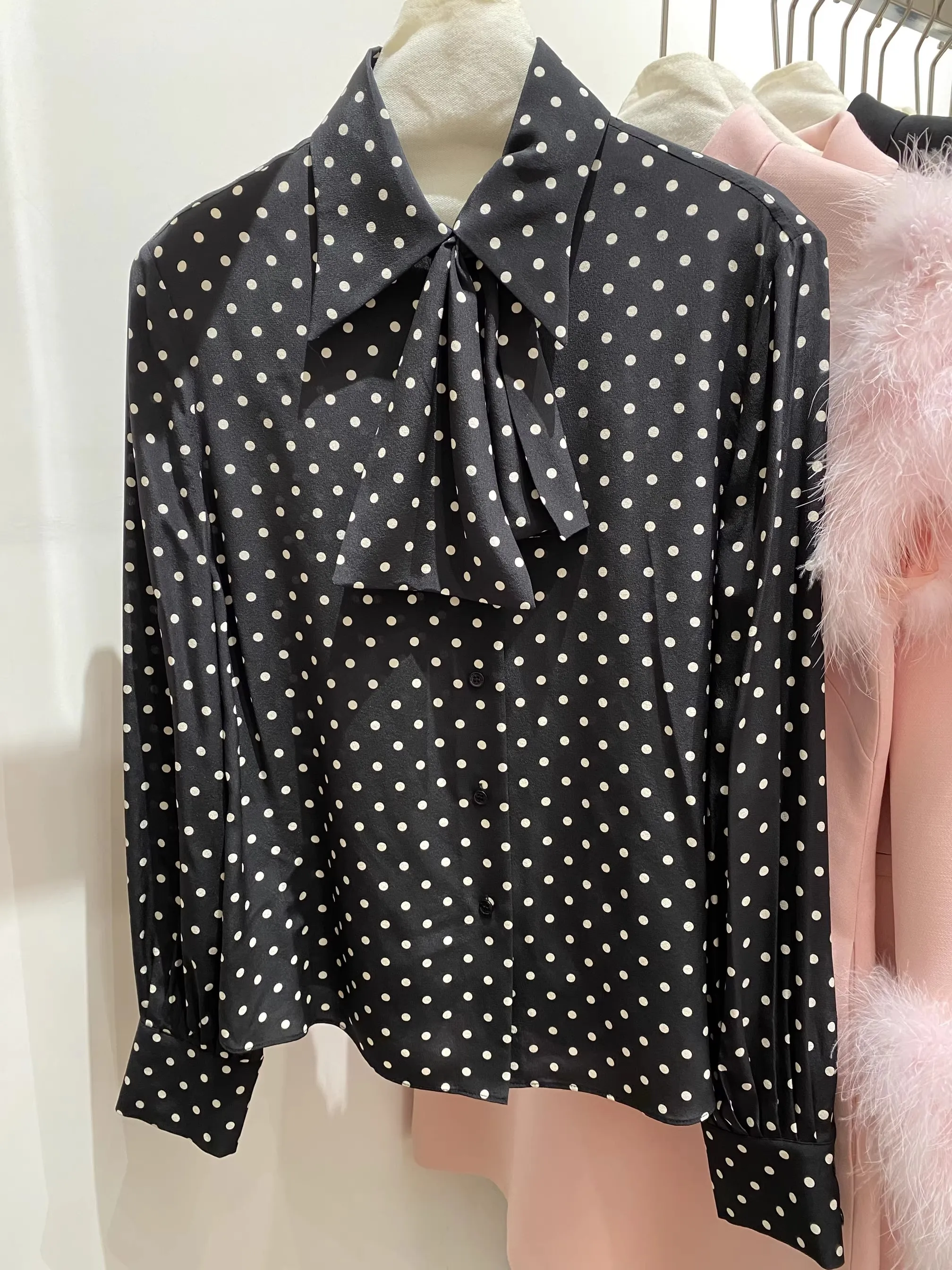 2026 New Spring Playful Polka Dot Silk Shirt Long Sleeve Women's Fashion Lace-up Black Blouse
2026 New Spring Playful Polka Dot Silk Shirt Long Sleeve Women's Fashion Lace-up Black Blouse