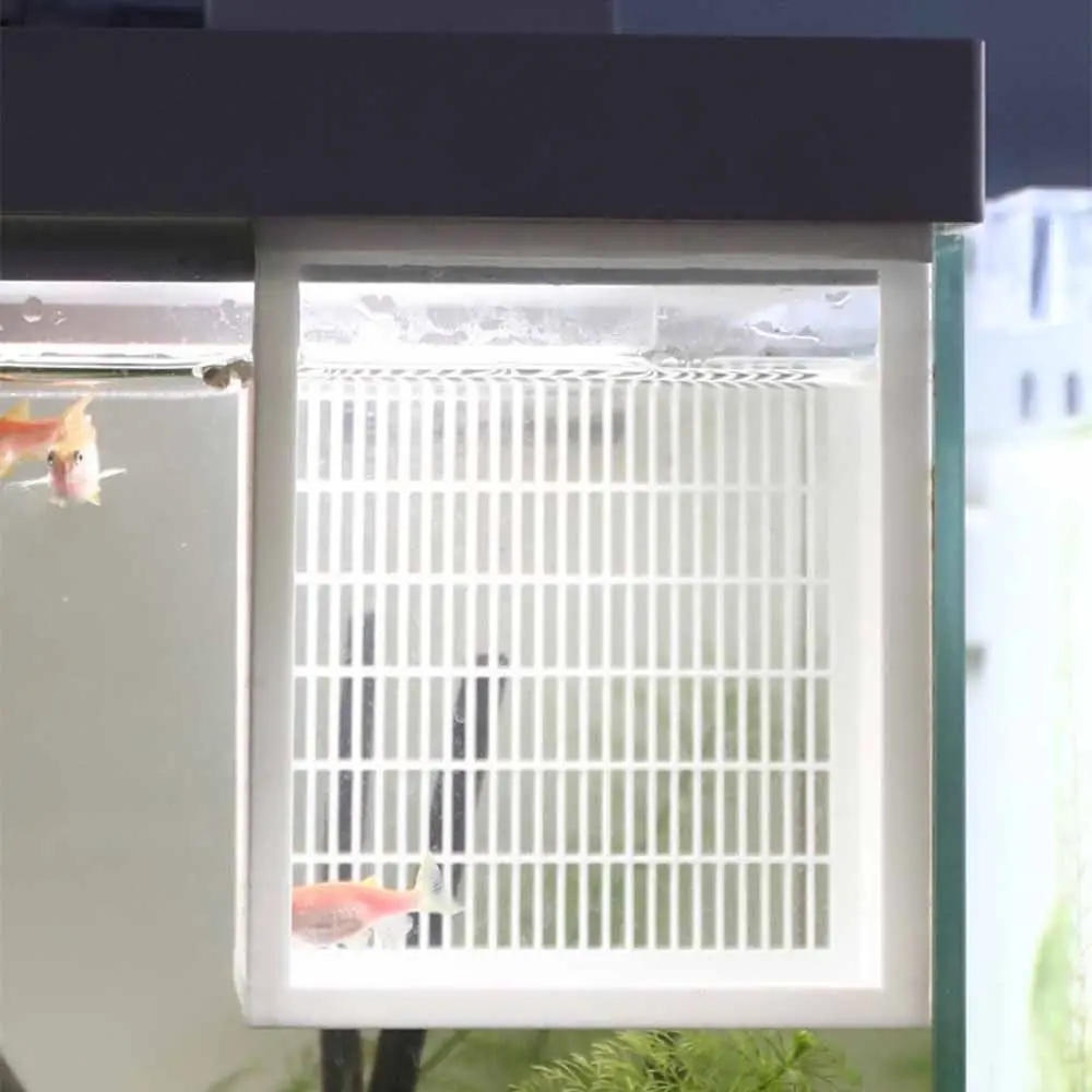 Portable Hangable Guppy Breeding Box Durable Ventilated Fish Breeding Box PLA Permeable Aquarium Breeder Box Guppy Small Fish
Portable Hangable Guppy Breeding Box Durable Ventilated Fish Breeding Box PLA Permeable Aquarium Breeder Box Guppy Small Fish