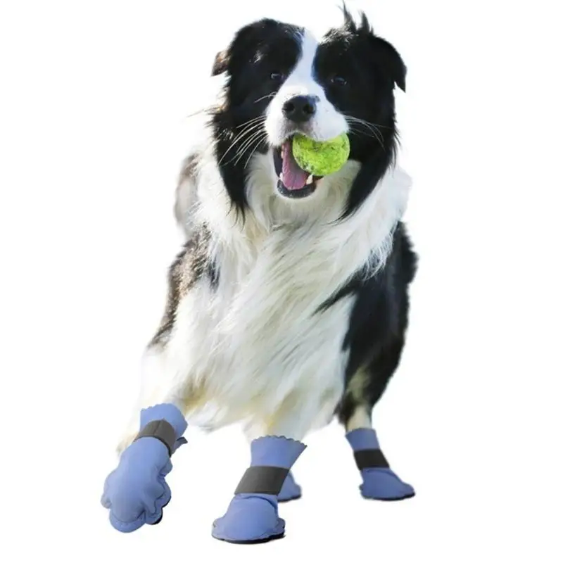 G6KF 2 Pair Dog Shoes Protective Feet Cover for Pet Feet Cover Booties Thick Grip
G6KF 2 Pair Dog Shoes Protective Feet Cover for Pet Feet Cover Booties Thick Grip