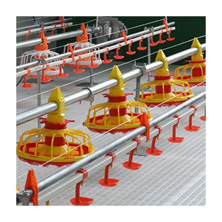 TBB New Automatic Feeding And Watering System For Farms And Retail Industries
TBB New Automatic Feeding And Watering System For Farms And Retail Industries