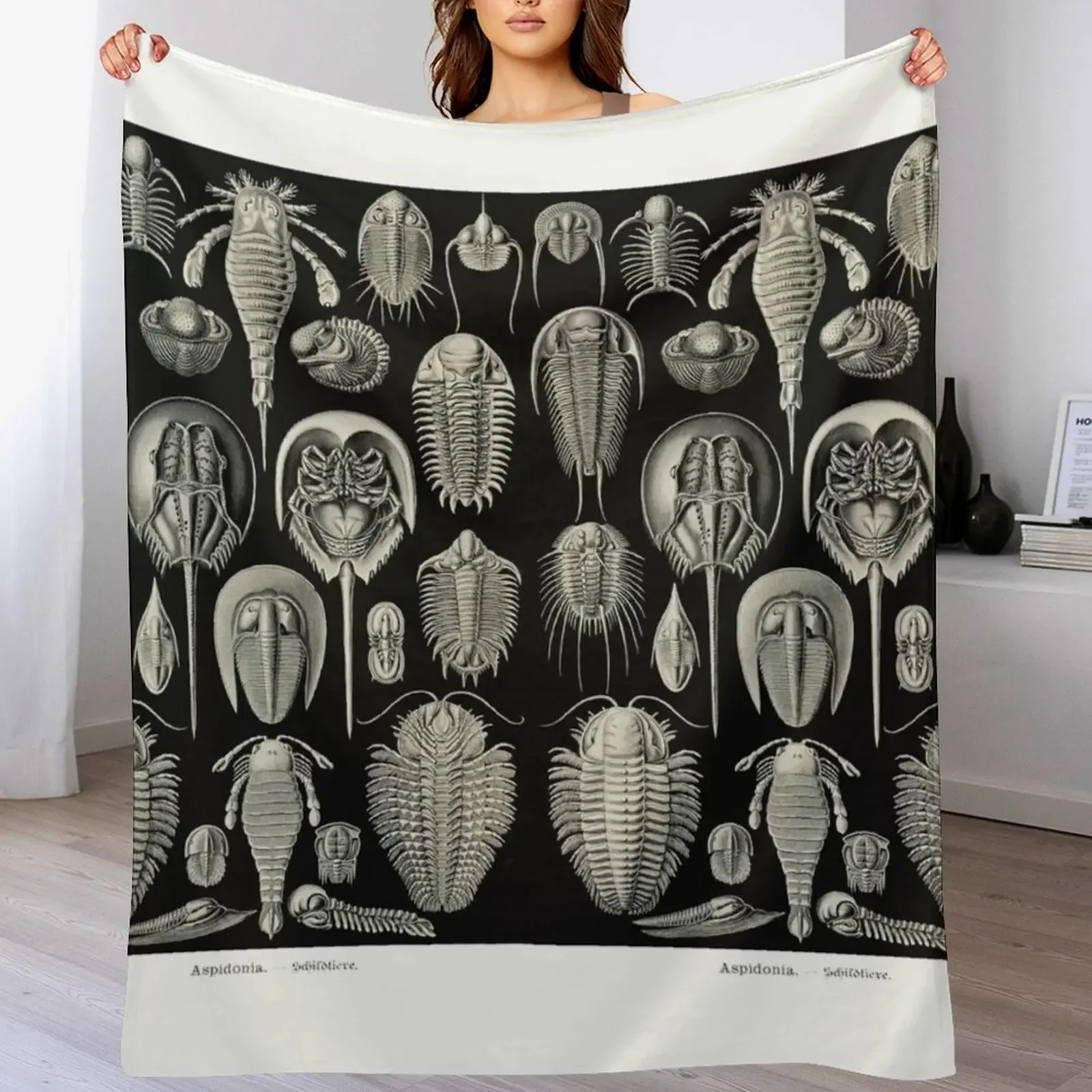 Plate 47. Trilobites and Sea Scorpions Throw Blanket cosplay anime Decorative Throw Sofa Quilt bed plaid Blankets
Plate 47. Trilobites and Sea Scorpions Throw Blanket cosplay anime Decorative Throw Sofa Quilt bed plaid Blankets