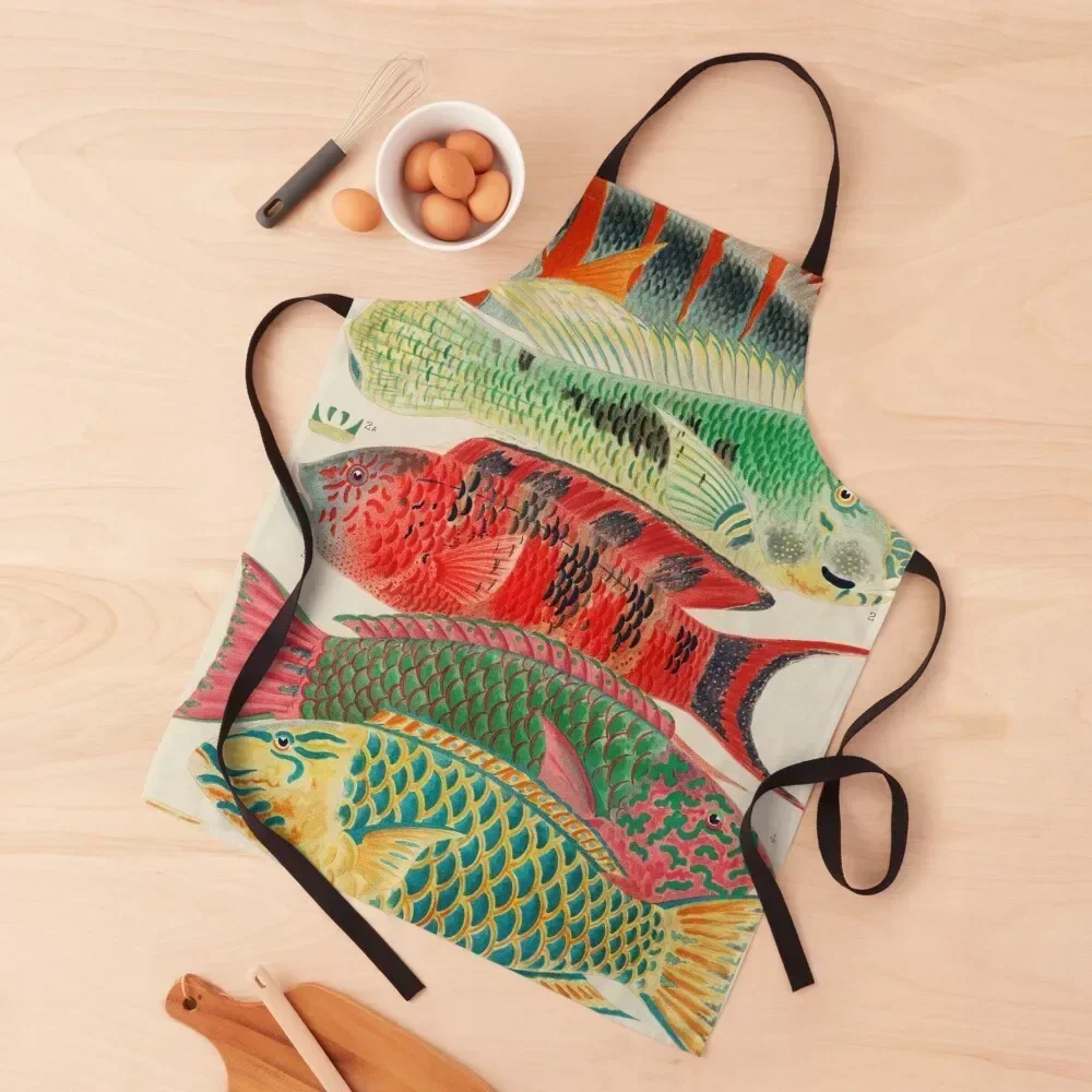 Great Barrier Reef Fishes. Rare illustration of Australian Vintage Retro Fish Print 1893 Apron Cleaning Products For Home Apron
Great Barrier Reef Fishes. Rare illustration of Australian Vintage Retro Fish Print 1893 Apron Cleaning Products For Home Apron