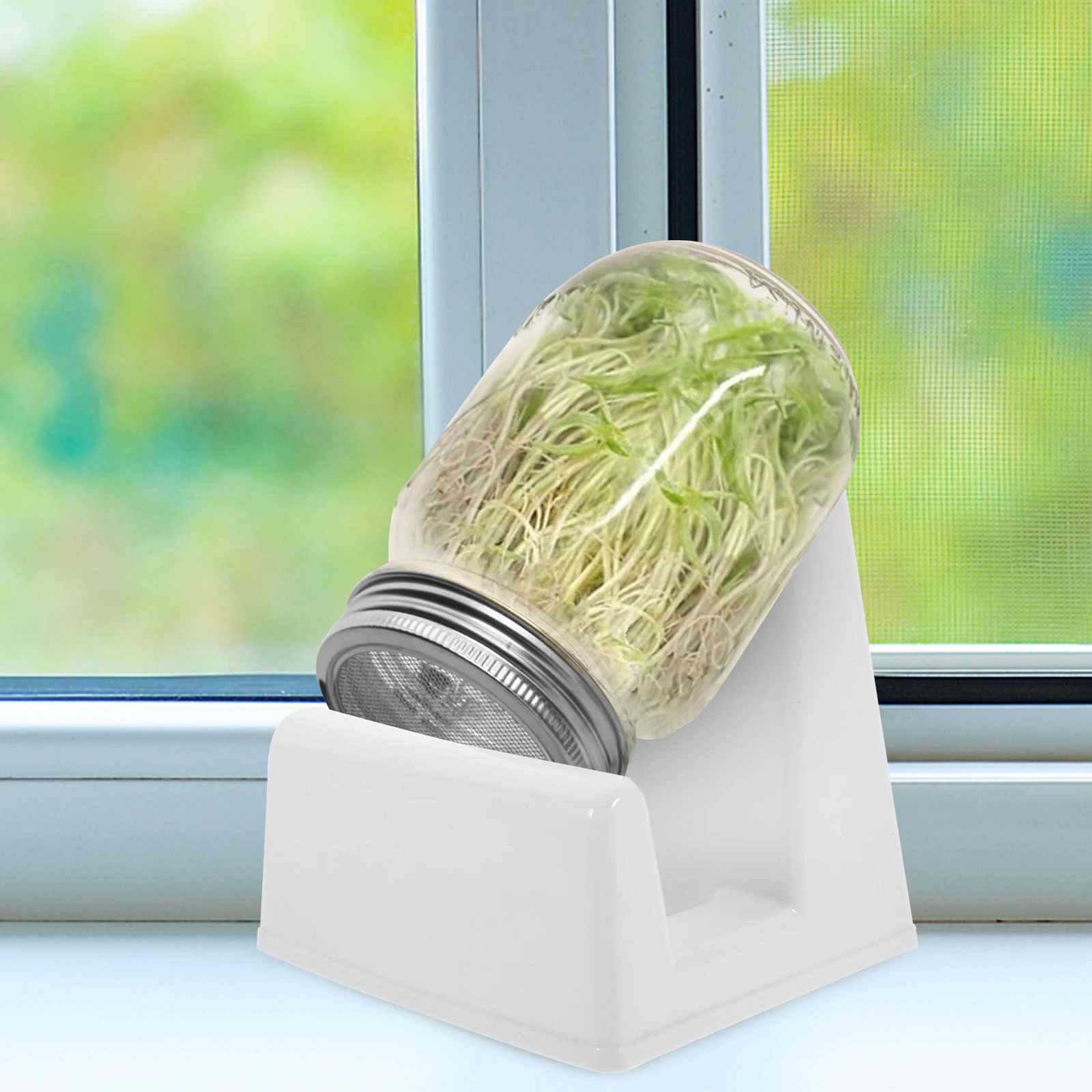 2 Pcs Simple Sprouted Lid Bracket Plant Holder Pp Sprouting Jar Storage Holders 
2 Pcs Simple Sprouted Lid Bracket Plant Holder Pp Sprouting Jar Storage Holders