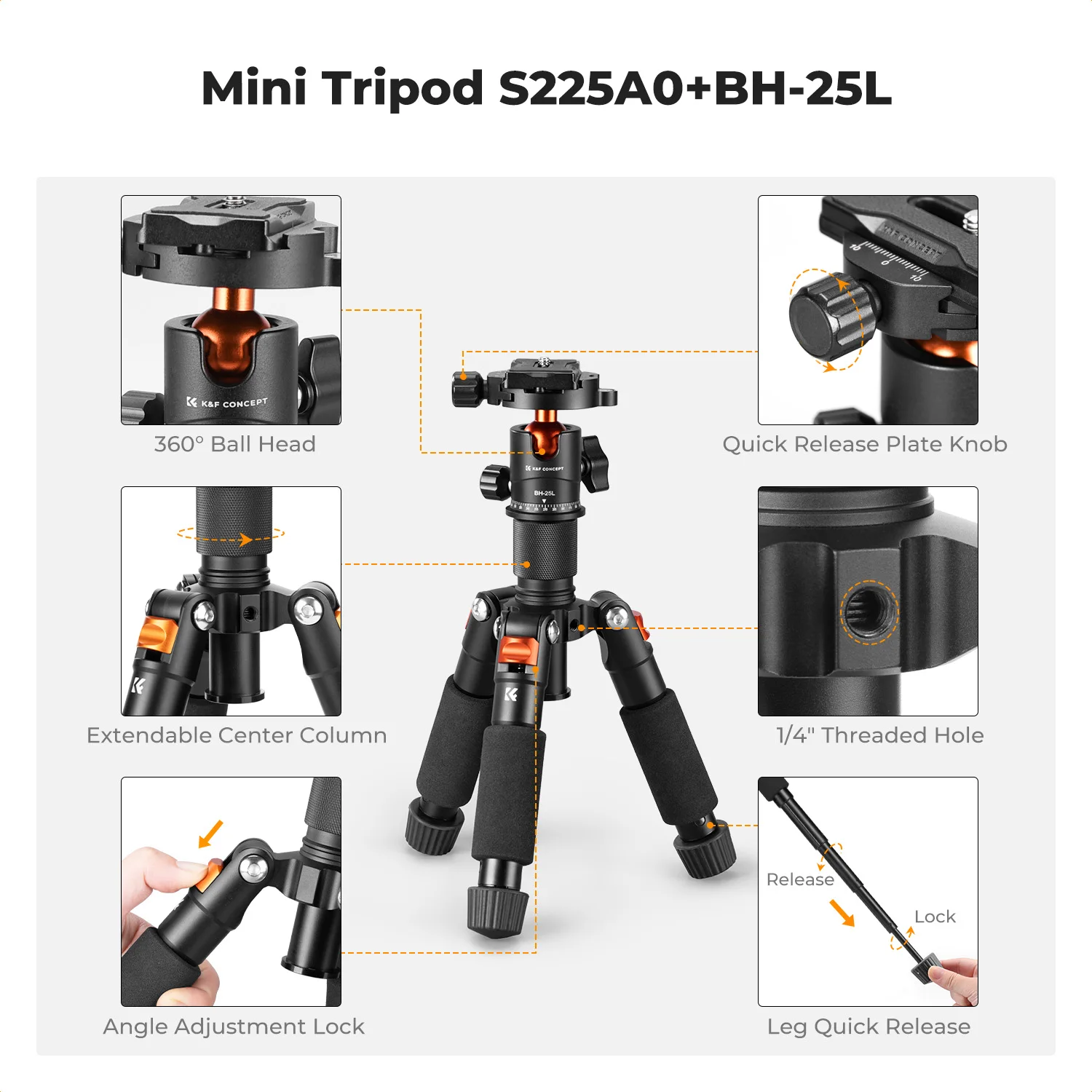 K&F CONCEPT 52cm Desktop Mini Tripod for Camera Compact Tripod 360° Low Profile Ball Head 1/4'' Screw for Camera Video Camcorder
K&F CONCEPT 52cm Desktop Mini Tripod for Camera Compact Tripod 360° Low Profile Ball Head 1/4'' Screw for Camera Video Camcorder