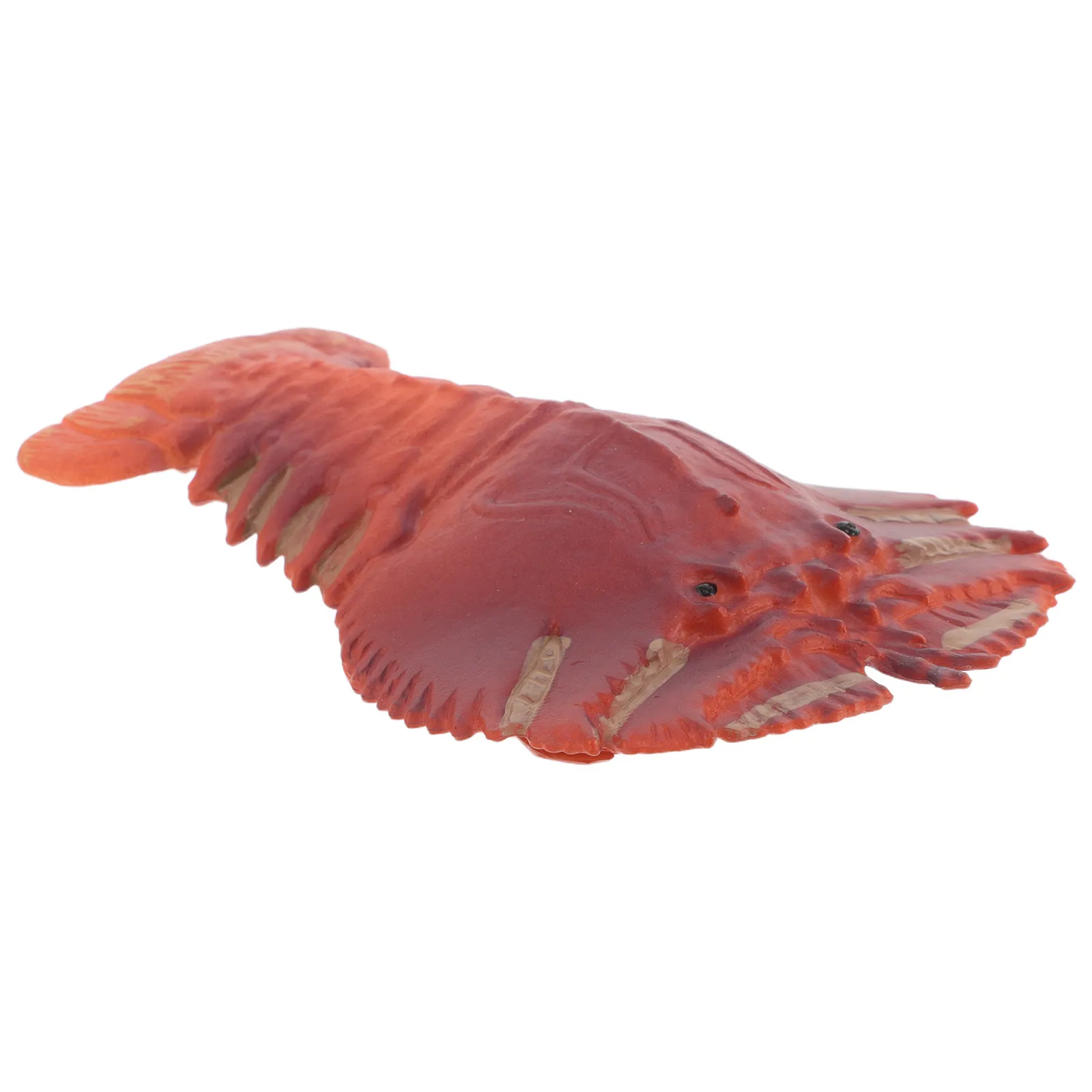 Realistic Mantis Shrimp Ornament Bright Color Lifelike Texture Educational Marine Animal Decor for Beach Coastal Home Classroom
Realistic Mantis Shrimp Ornament Bright Color Lifelike Texture Educational Marine Animal Decor for Beach Coastal Home Classroom