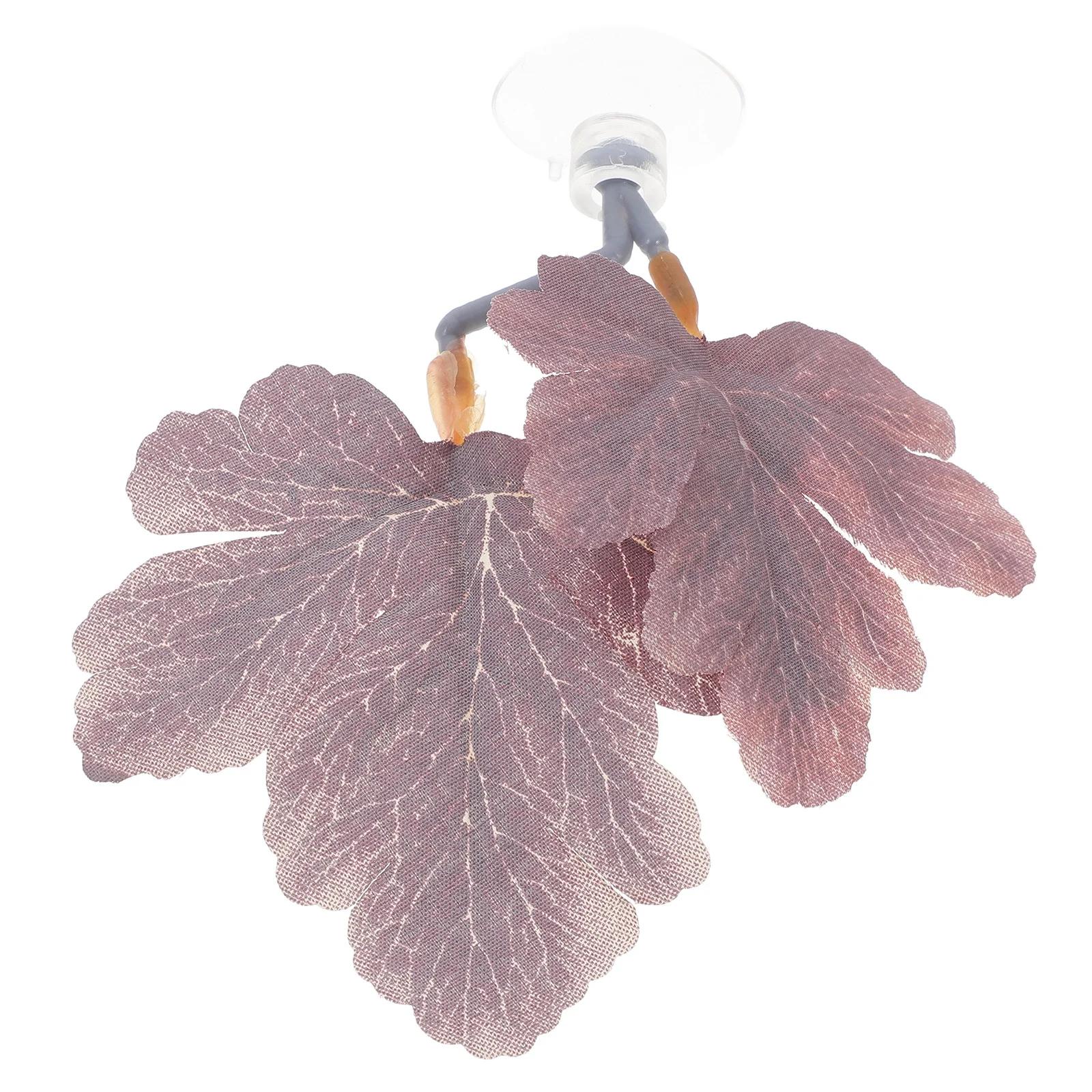 Betta Bed Leaf Pad Realistic Green Plants Tank Decor Comfortable Resting Spot Ideal for Small Fish Tanks Betta Fish Leaf
Betta Bed Leaf Pad Realistic Green Plants Tank Decor Comfortable Resting Spot Ideal for Small Fish Tanks Betta Fish Leaf