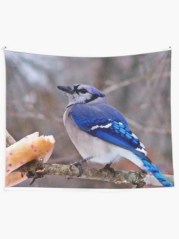 Bluebirds and Bagels Tapestry Decoration Pictures Room Wall Aesthetic Room Decorations Home Decorating Tapestry
Bluebirds and Bagels Tapestry Decoration Pictures Room Wall Aesthetic Room Decorations Home Decorating Tapestry