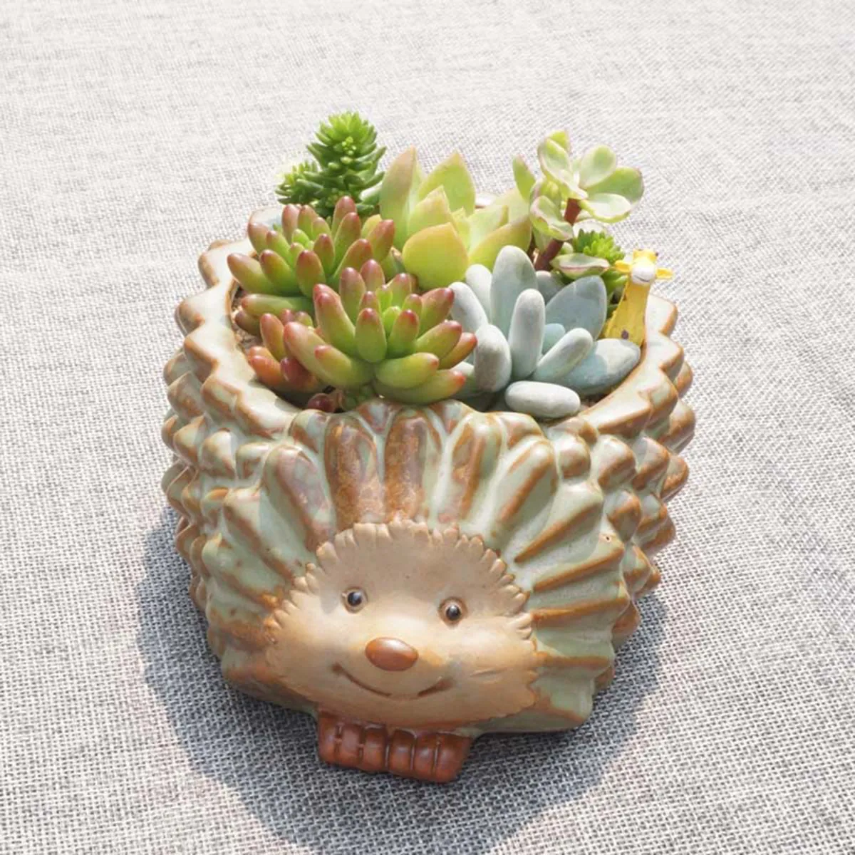 Hedgehog Shaped Resin Flower Pot for Succulents Cactus Plants Home Office Decoration Funny Animal Planter Cartoon Succulent
Hedgehog Shaped Resin Flower Pot for Succulents Cactus Plants Home Office Decoration Funny Animal Planter Cartoon Succulent