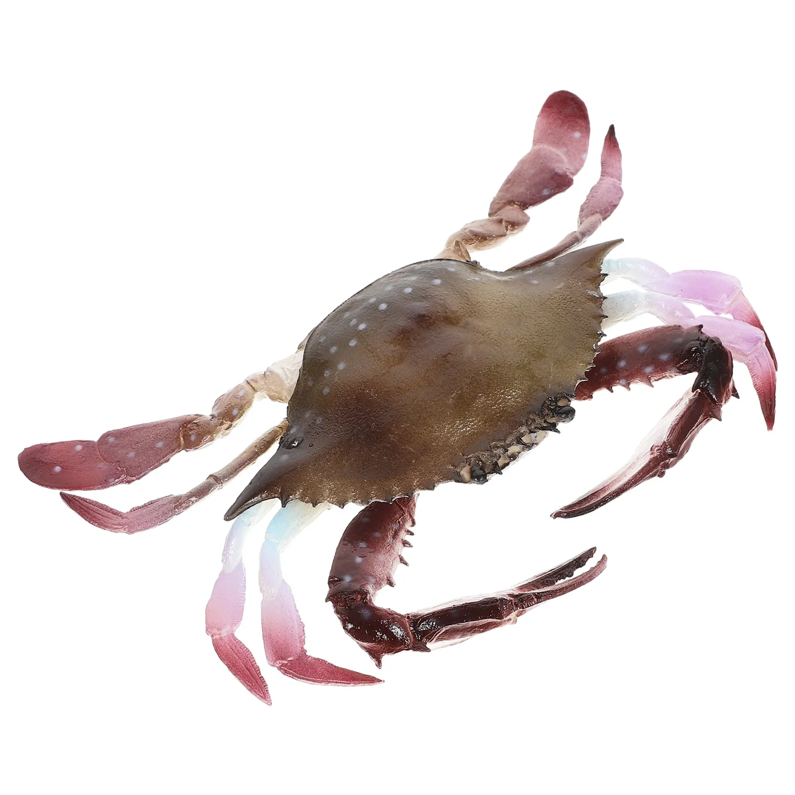 Simulation Crab Artificial Realistic Sea Creature Decoration Aquarium Fish Tank Learning Educational Prop Plastic Crab Ornament
Simulation Crab Artificial Realistic Sea Creature Decoration Aquarium Fish Tank Learning Educational Prop Plastic Crab Ornament