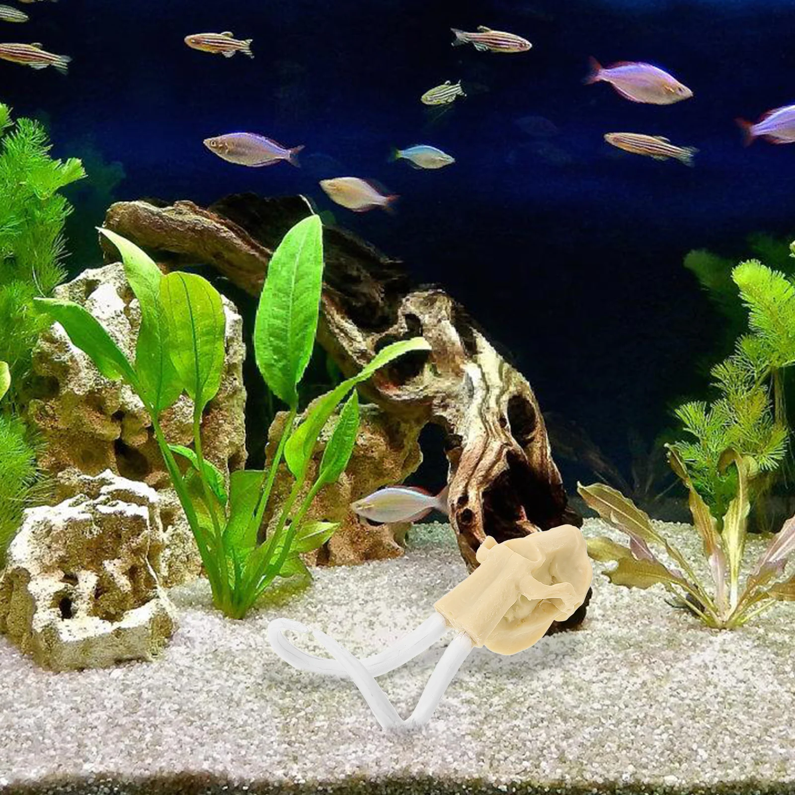 1Pcs Resin Skull Aquarium Adornment Lifelike Details Practical Fish Tank Decor Prop Aquarium Adornment Resin Craft Decor
1Pcs Resin Skull Aquarium Adornment Lifelike Details Practical Fish Tank Decor Prop Aquarium Adornment Resin Craft Decor