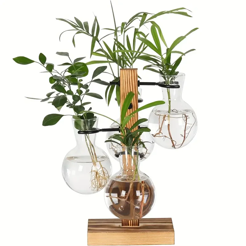 Hydroponic Plant Glass Vase, Modern Desktop Plant Terrarium Planter Bulb Water Planting Propagation Planters Hydroponics Plants
Hydroponic Plant Glass Vase, Modern Desktop Plant Terrarium Planter Bulb Water Planting Propagation Planters Hydroponics Plants