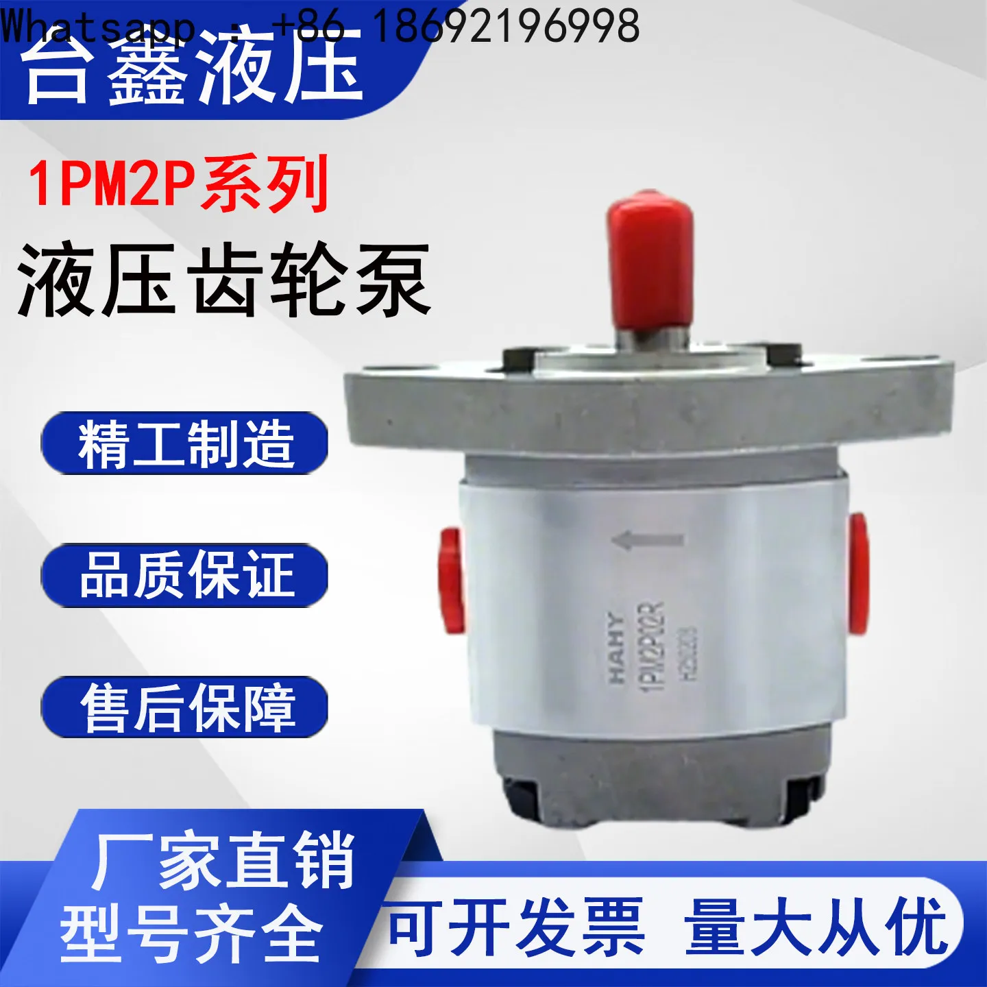 1PM2P02R Hydraulic Gear Pump 1PM2P05R 1PM2P09R 1PM2P16R High Pressure Oil Pump 1PM2P06R
1PM2P02R Hydraulic Gear Pump 1PM2P05R 1PM2P09R 1PM2P16R High Pressure Oil Pump 1PM2P06R