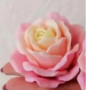 New Style 3D Rose Candle Mold Manual DIY Flower Soap Silicone Mold Silicone Mold Soap Form Soap Supplies
New Style 3D Rose Candle Mold Manual DIY Flower Soap Silicone Mold Silicone Mold Soap Form Soap Supplies