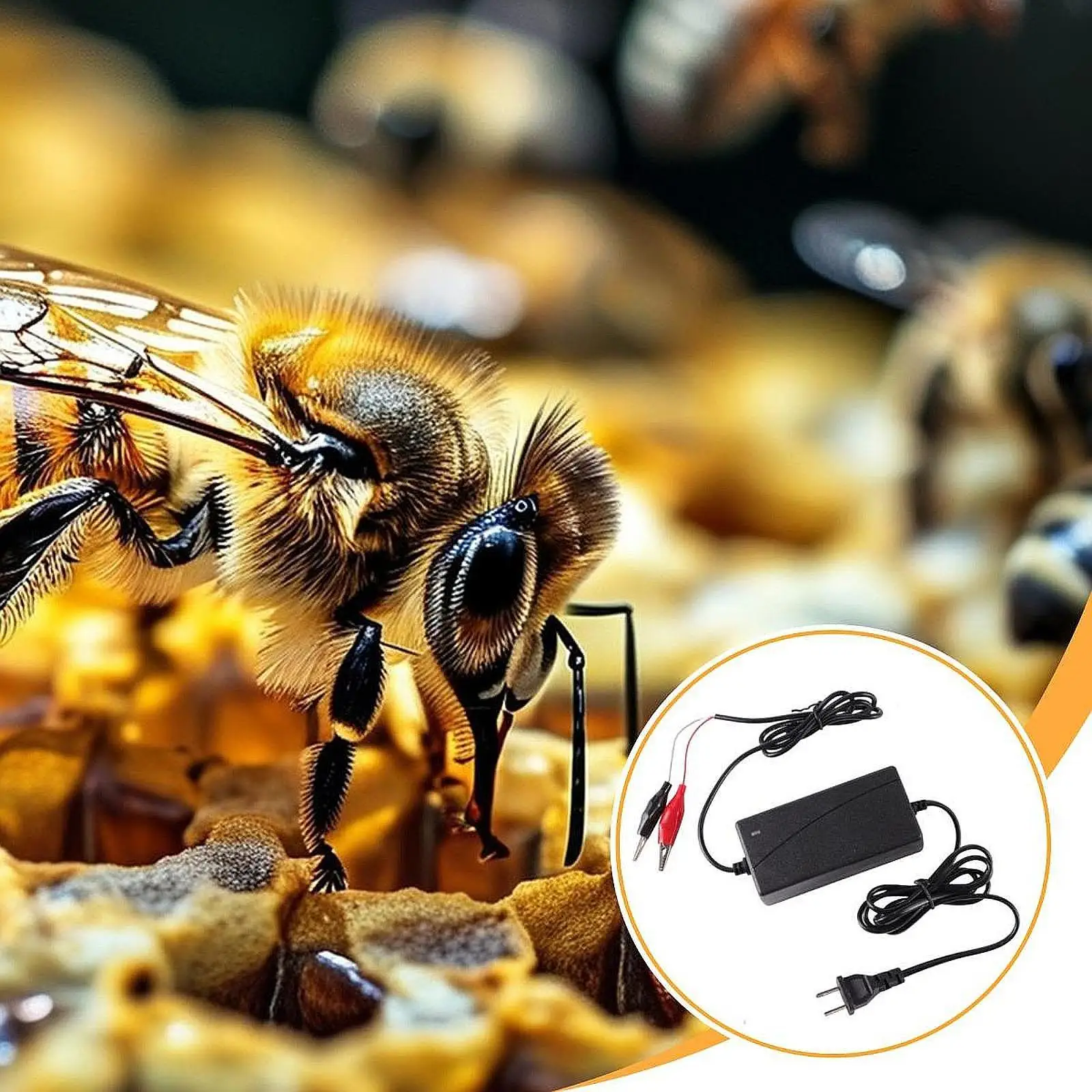 Bee Frame Wire Embedder with Consistent Heating Beekeeping Appliance Wax Embedding Device for Equipment for Bees
Bee Frame Wire Embedder with Consistent Heating Beekeeping Appliance Wax Embedding Device for Equipment for Bees
