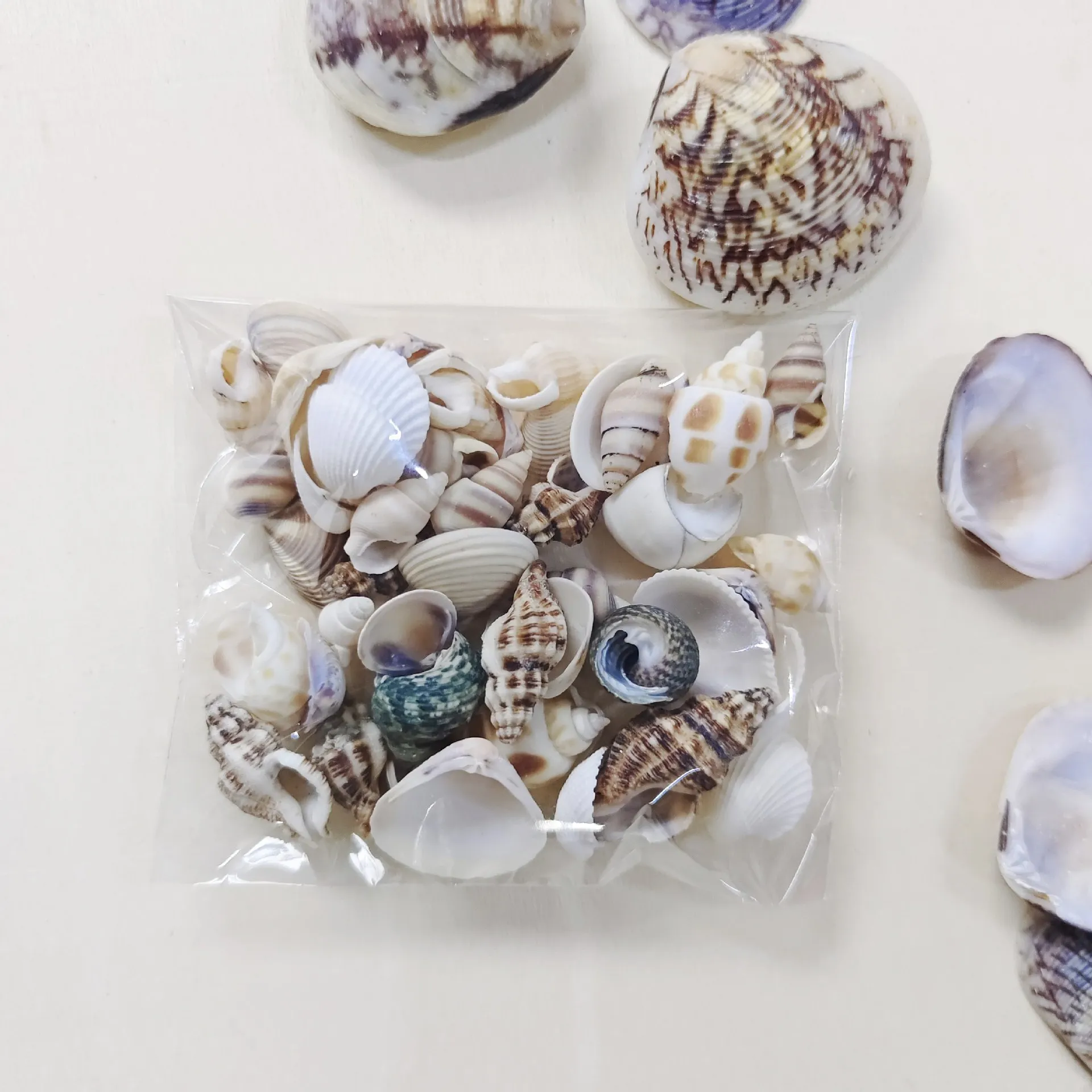 1-5bags Natural Mixed Sea Shells Conch Spiral Shells Set for Aquarium Decor DIY Crafts Home Wedding Decoration
1-5bags Natural Mixed Sea Shells Conch Spiral Shells Set for Aquarium Decor DIY Crafts Home Wedding Decoration