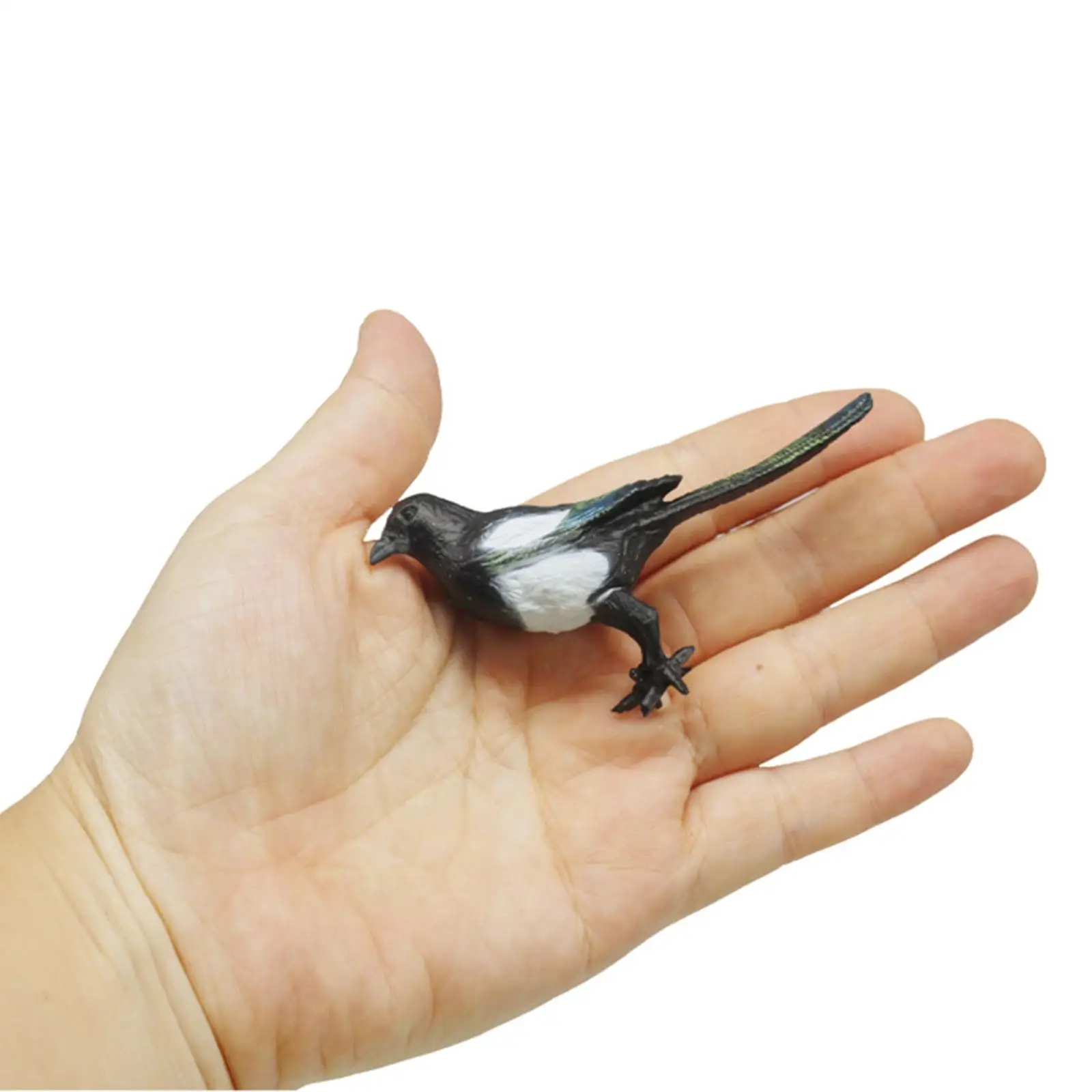 Decorative Birds Artificial Magpie Figurine PVC Feather Model Statue Crafts for Children’s Educational Toy Garden Landscaping
Decorative Birds Artificial Magpie Figurine PVC Feather Model Statue Crafts for Children’s Educational Toy Garden Landscaping