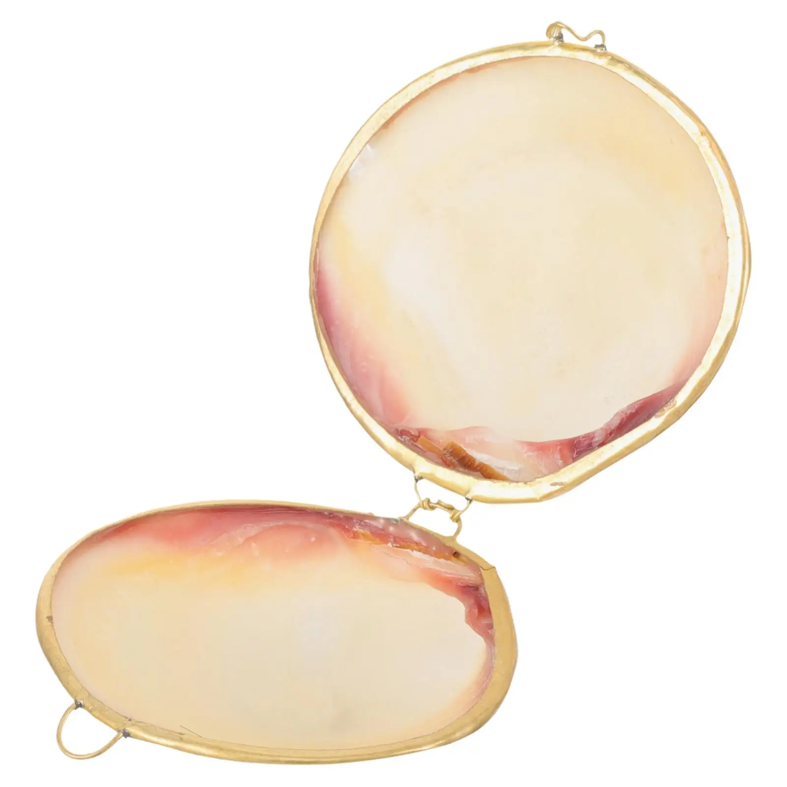 Pearl Clam Storage Box Jewelry Boxjewelry Case Seashell Boxes Holder Accessories Jewelrybox
Pearl Clam Storage Box Jewelry Boxjewelry Case Seashell Boxes Holder Accessories Jewelrybox