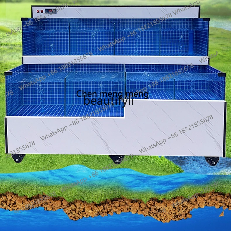 Лидер продаж, двухслойный пруд с морепродуктами, коммерческий аквариум для пресной воды, мобильная смешанная культура и охлаждение для аквапарка
Лидер продаж, двухслойный пруд с морепродуктами, коммерческий аквариум для пресной воды, мобильная смешанная культура и охлаждение для аквапарка