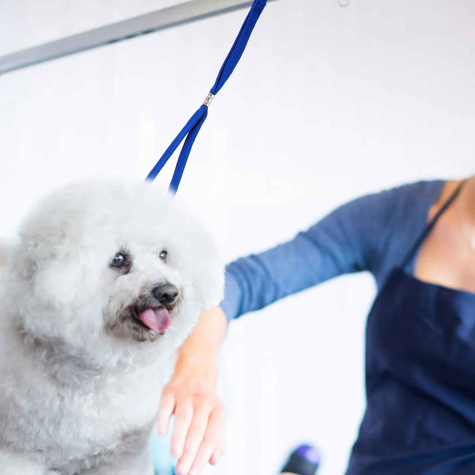 6 Pcs Pet Grooming Cord Reusable Noose Bathing Rope Dog Shower Accessories Blue 2 Each Durable Nylon Safe Position
6 Pcs Pet Grooming Cord Reusable Noose Bathing Rope Dog Shower Accessories Blue 2 Each Durable Nylon Safe Position