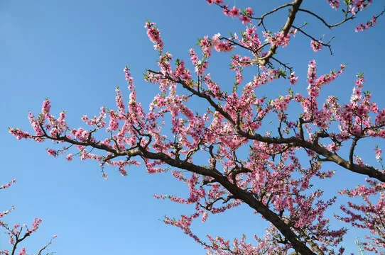 Комплект колес и шин Beadlock 1.9 дюйма с шестигранником 12 мм для радиоуправляемых краулеров 1/10: TRX4, TRX6, Axial SCX10/SCX10 II/SCX10 III Gen7/8, D90, VS4-10
Комплект колес и шин Beadlock 1.9 дюйма с шестигранником 12 мм для радиоуправляемых краулеров 1/10: TRX4, TRX6, Axial SCX10/SCX10 II/SCX10 III Gen7/8, D90, VS4-10