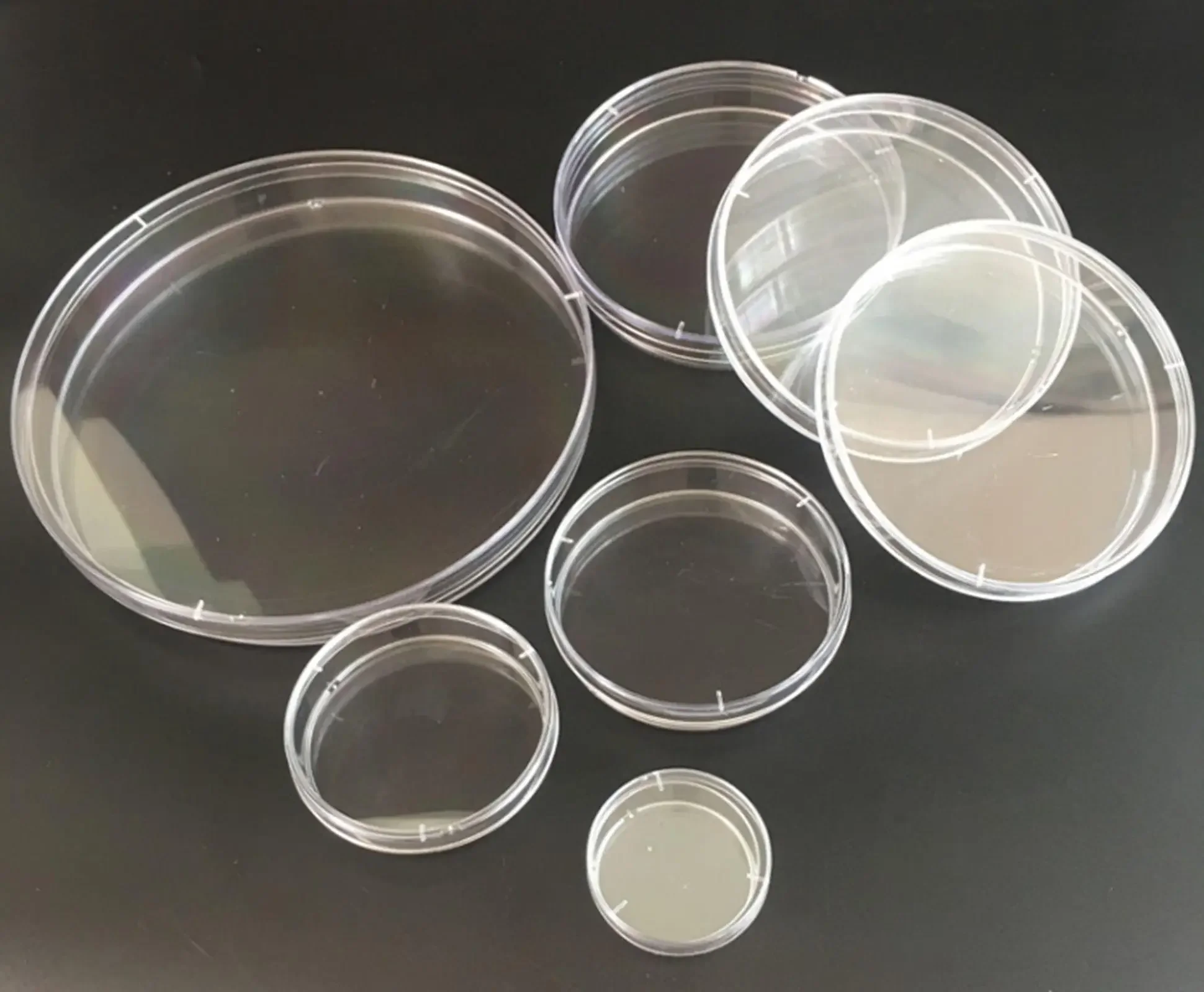 10pcs 35/60/70/90/100/120/150mm Polystyrene Petri Dish Sealed Culture Disposable
10pcs 35/60/70/90/100/120/150mm Polystyrene Petri Dish Sealed Culture Disposable