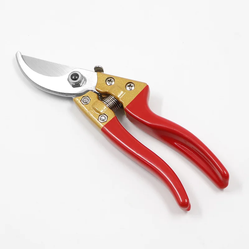 Fruit Tree Pruning Shears Fruit Branch Gardening Pruning V8 Fruit Tree Branch Small Scissors SK5
Fruit Tree Pruning Shears Fruit Branch Gardening Pruning V8 Fruit Tree Branch Small Scissors SK5