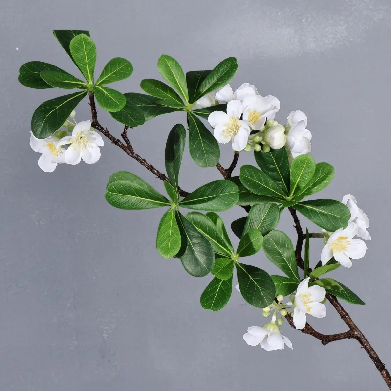 4pcs Simulation Flowers Green Plant Silk Paulownia Fake Flower Artificial White Paulownias Branch Restaurant Decoration
4pcs Simulation Flowers Green Plant Silk Paulownia Fake Flower Artificial White Paulownias Branch Restaurant Decoration