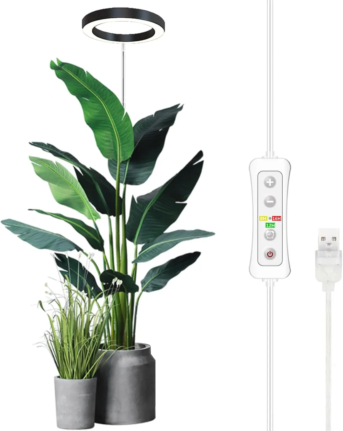 Full Spectrum LED Grow Light for Indoor Plants, Height Adjustable, 10-Level Dimmable, Auto Timer
Full Spectrum LED Grow Light for Indoor Plants, Height Adjustable, 10-Level Dimmable, Auto Timer
