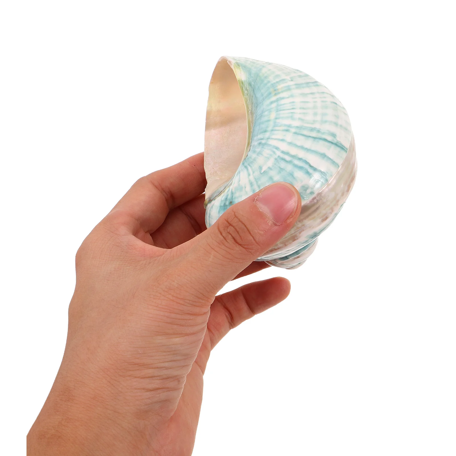 Aquarium Centerpiece Conch Decoration Craft for Landscape Sample Adorn Fish Tank
Aquarium Centerpiece Conch Decoration Craft for Landscape Sample Adorn Fish Tank