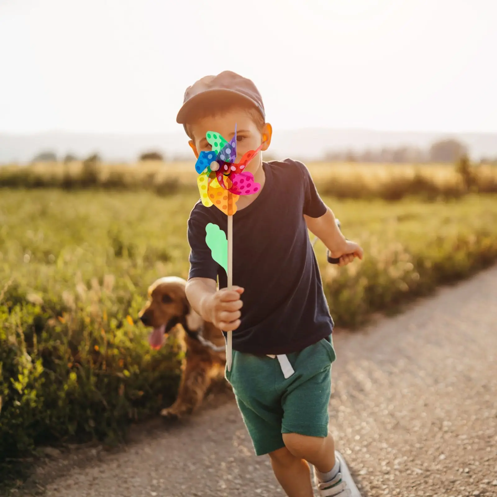 6 Pcs Rotating Colorful Windmill Pinwheels Toy Kids DIY Garden Decor Outdoor Ornaments
6 Pcs Rotating Colorful Windmill Pinwheels Toy Kids DIY Garden Decor Outdoor Ornaments