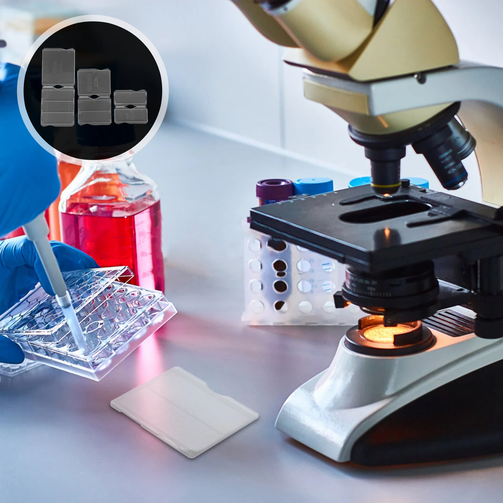 30 Pcs Slide Protection Box Clear Plastic Holder Lab Organizer Round Experiments Glass Slider
30 Pcs Slide Protection Box Clear Plastic Holder Lab Organizer Round Experiments Glass Slider