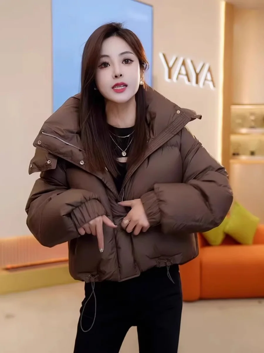Chic Hooded Short down Jacket Women's Cotton Coat Korean Style Pure Color Commute Fashion Autumn Winter Warm Zipper Closure
Chic Hooded Short down Jacket Women's Cotton Coat Korean Style Pure Color Commute Fashion Autumn Winter Warm Zipper Closure