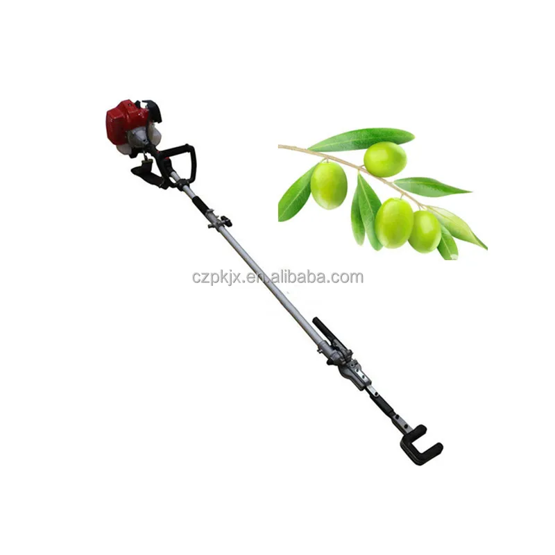 High-altitude Olive Picker Nut Puncher Fruit Picker Camellia Coffee Bean Chestnut Picker
High-altitude Olive Picker Nut Puncher Fruit Picker Camellia Coffee Bean Chestnut Picker