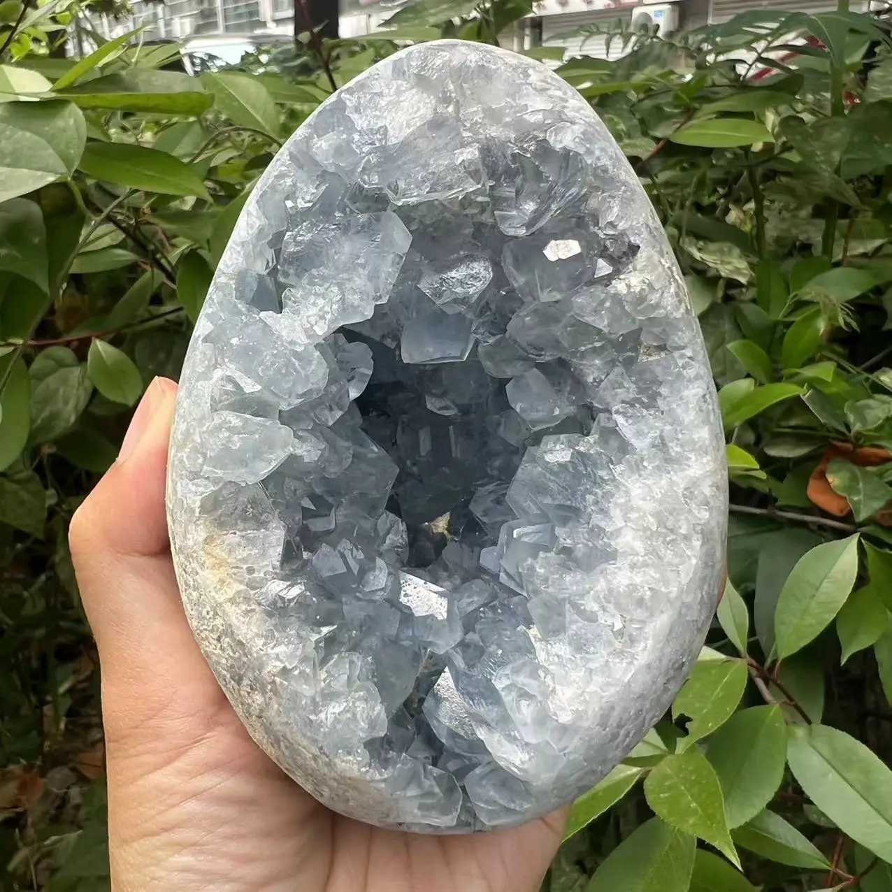 1560g 13cm natural blue celestite crystals geode egg for home decoration (You will get exactly the same as in the picture)
1560g 13cm natural blue celestite crystals geode egg for home decoration (You will get exactly the same as in the picture)