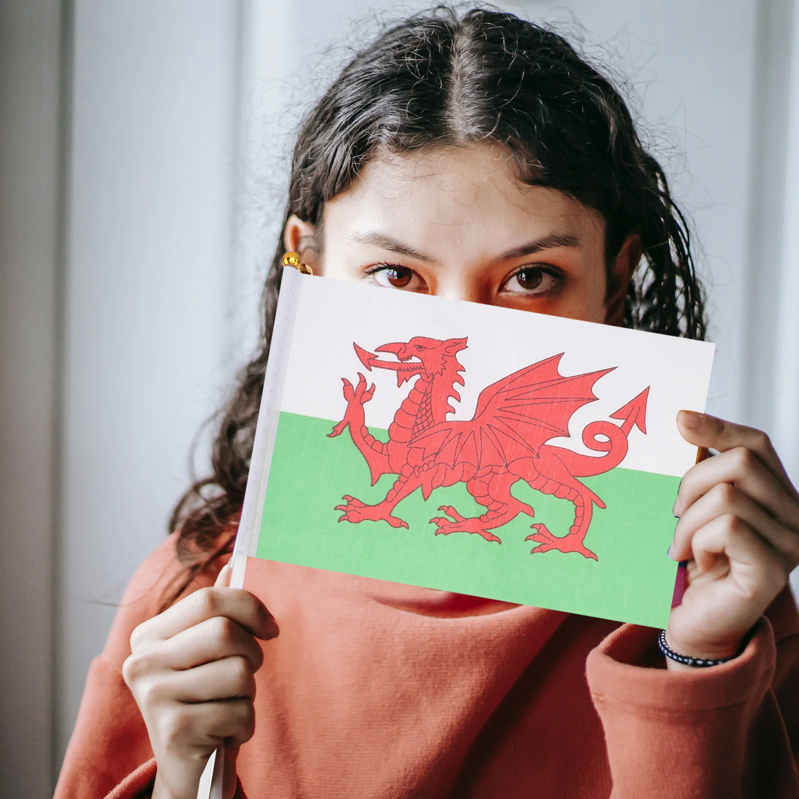 20pcs Hand Waving Flags Welsh National Country Flag Mini Polyester Office Desk & Little Table Flags 14x21cm
20pcs Hand Waving Flags Welsh National Country Flag Mini Polyester Office Desk & Little Table Flags 14x21cm