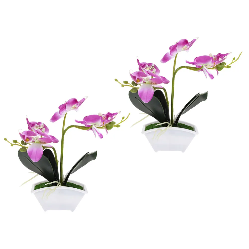 2 Pcs White Artificial Phalaenopsisin Pot Lifelike Fake Plants for Home Decor Photography Props Small Bonsai Artificial Flowers
2 Pcs White Artificial Phalaenopsisin Pot Lifelike Fake Plants for Home Decor Photography Props Small Bonsai Artificial Flowers