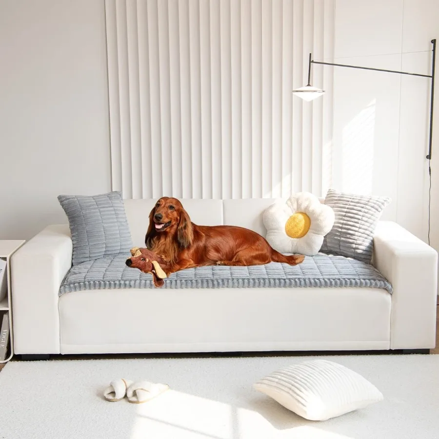 Нечеткие чехол для дивана для защиты домашних животных: моющийся нескользящий чехол для дивана с защитной подушкой Идеально подходит для собак и других пе
Нечеткие чехол для дивана для защиты домашних животных: моющийся нескользящий чехол для дивана с защитной подушкой Идеально подходит для собак и других пе